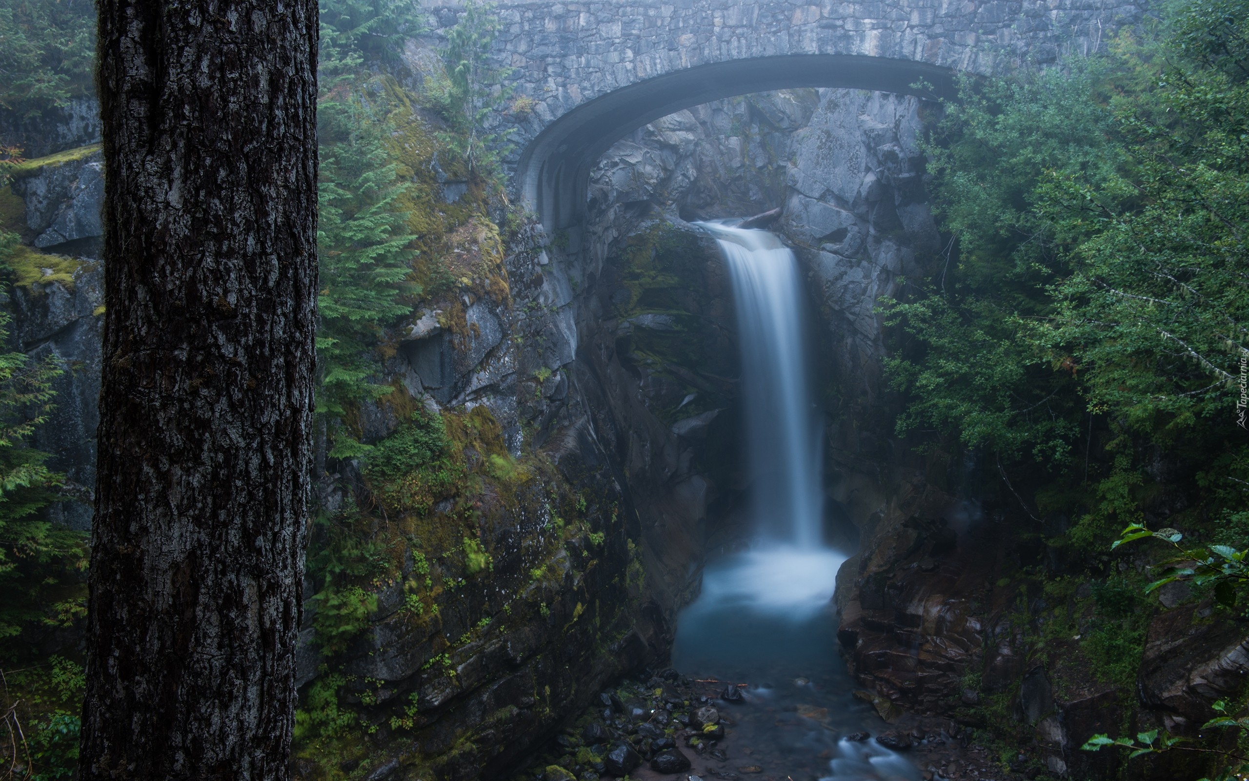 Stany Zjednoczone, Stan Waszyngton, Park Narodowy Mount Rainier, Most, Skały, Rzeka Van Trump Creek, Wodospad Christine Falls, Drzewa, Las, Mgła