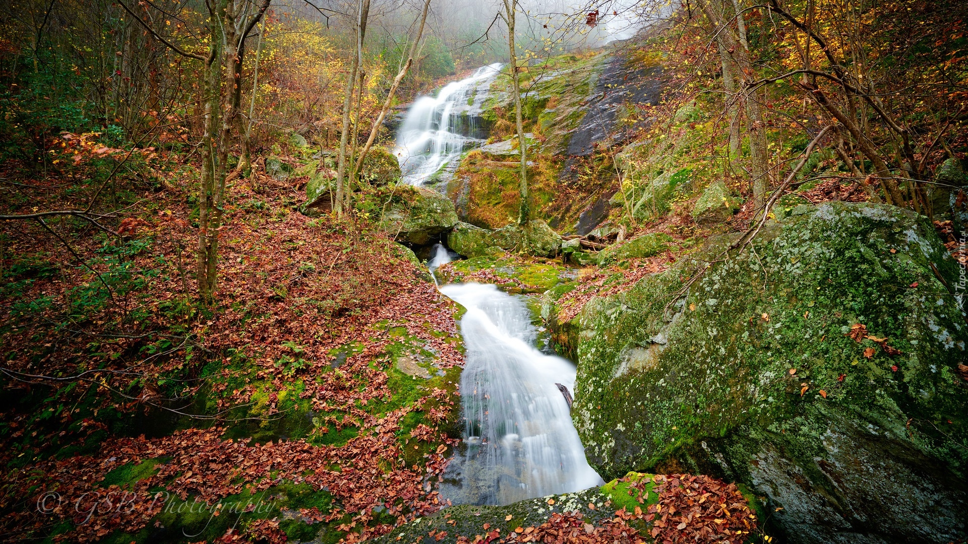 Skały, Skarpa, Drzewa, Wodospad, Crabtree Falls, Stan Wirginia, Stany Zjednoczone