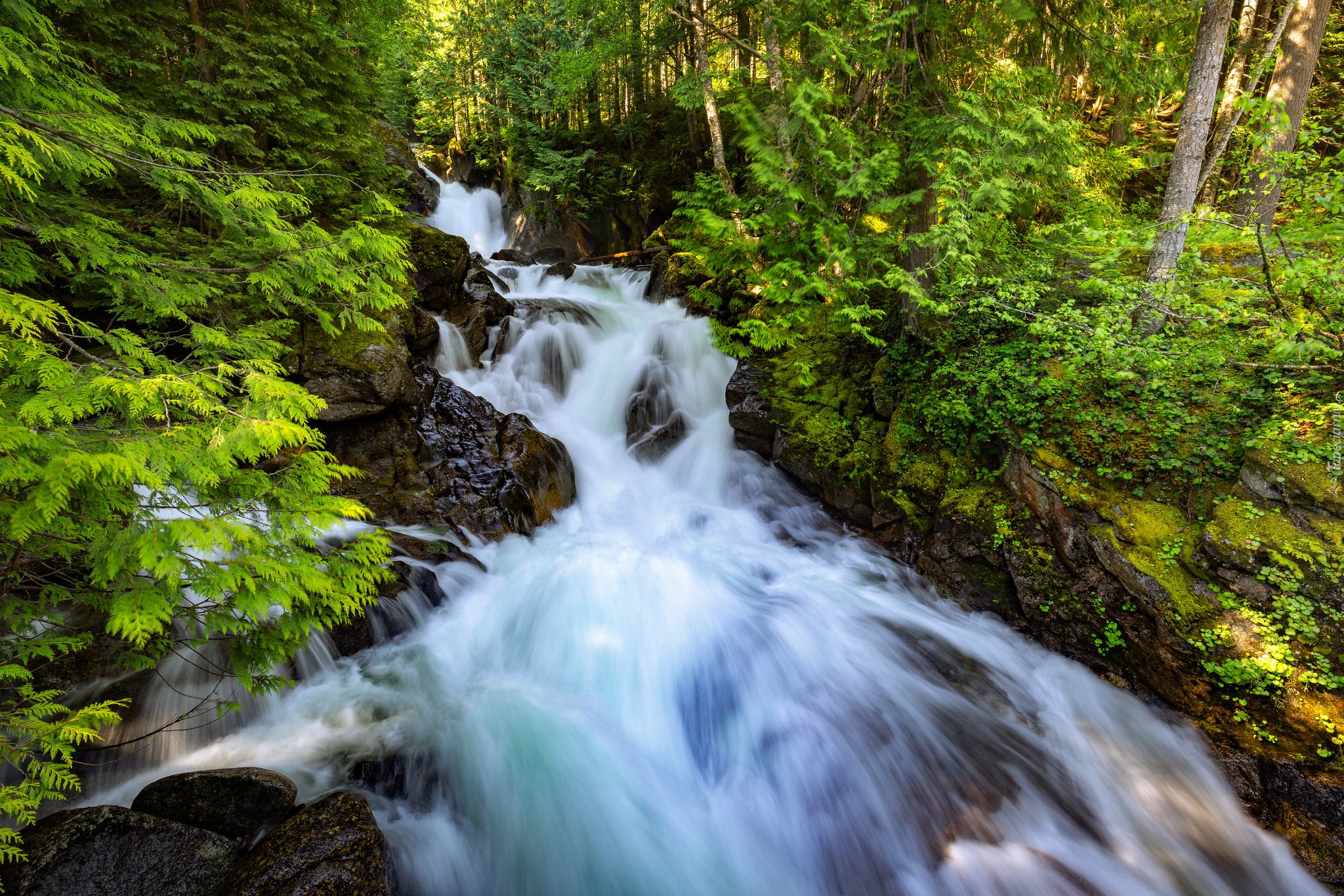 Wodospad Deception Falls, Skały, Las, Drzewa, Miejscowość Skykomish, Stan Waszyngton, Stany Zjednoczone