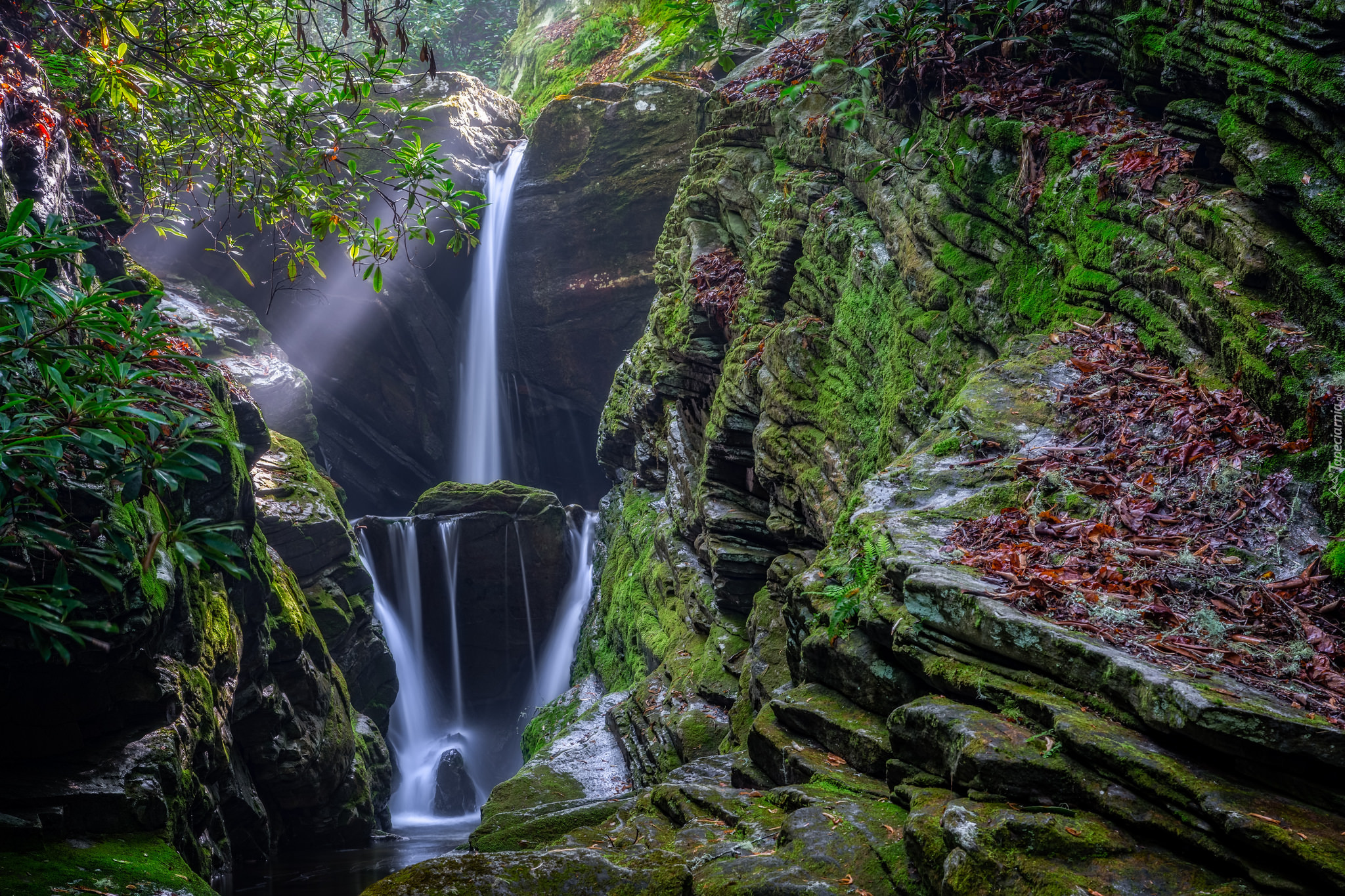 Stany Zjednoczone, Stan Karolina Północna, Wodospad Duggers Creek Falls, Skały, Las, Gałęzie, Przebijające światło