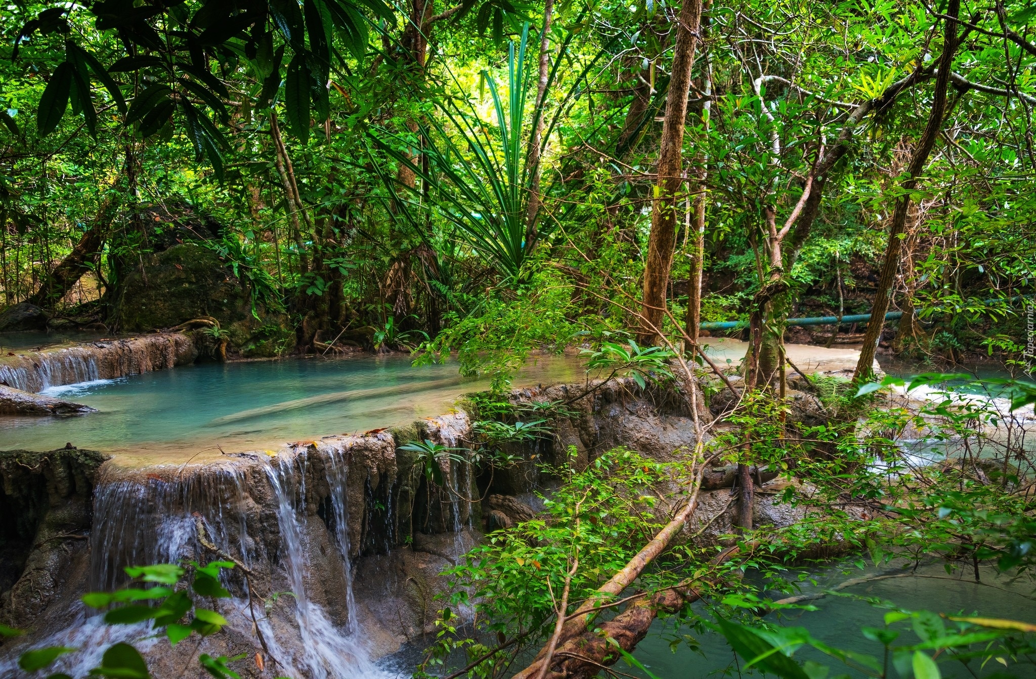 Las, Wodospad Erawan waterfall, Drzewa, Krzewy, Park Narodowy Erawan, Prowincja Kanchanaburi, Tajlandia