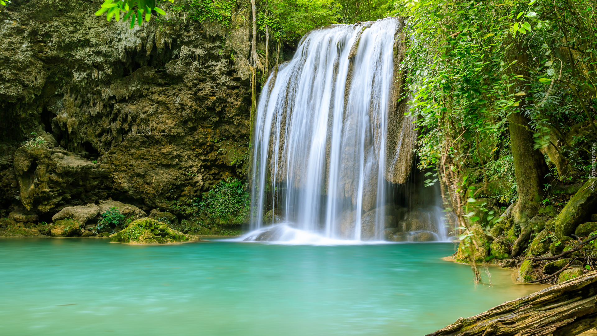 Wodospad, Erawan Waterfall, Drzewo, Korzenie, Rośliny, Park Narodowy Erawan, Prowincja Kanchanaburi, Tajlandia