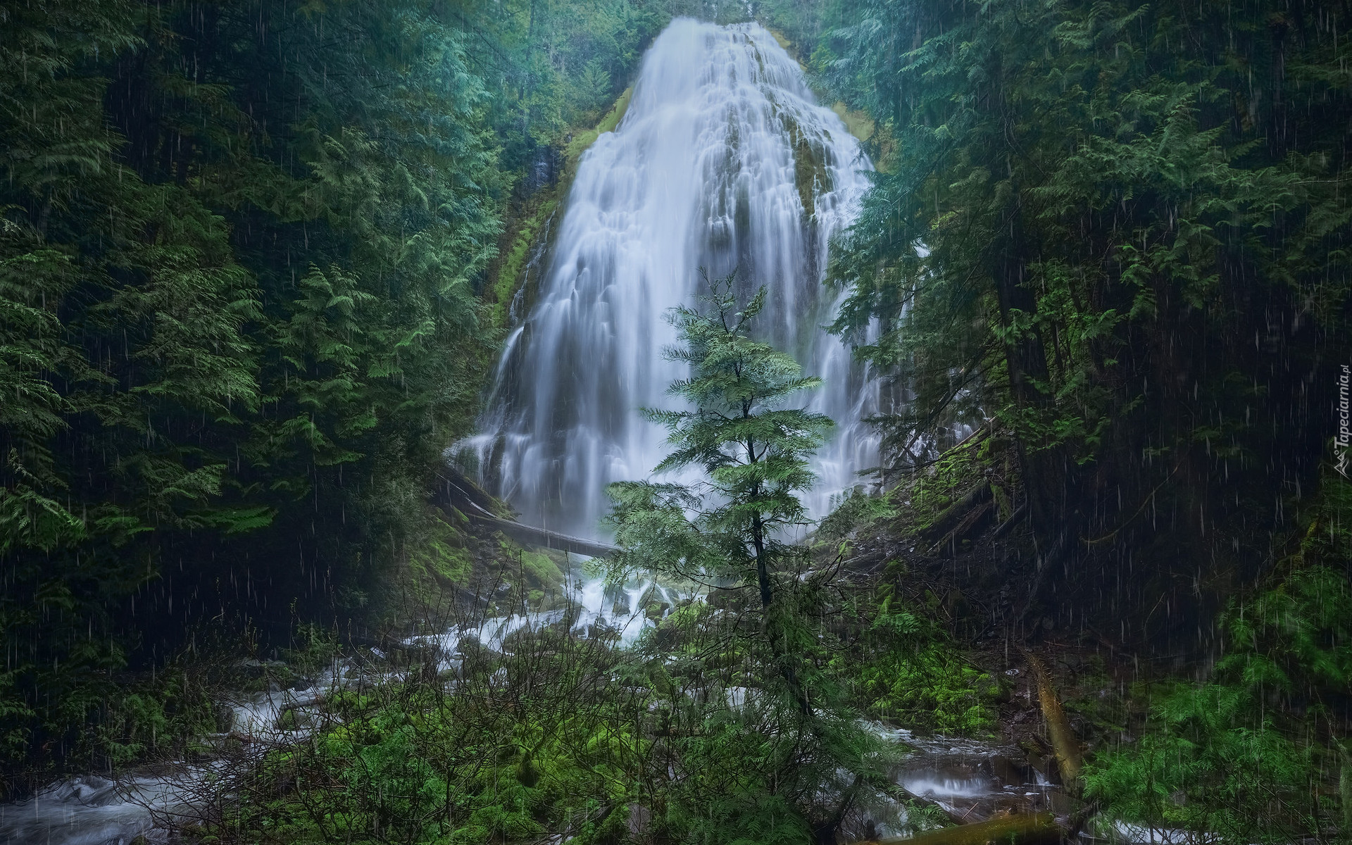 Las, Drzewa, Deszcz, Wodospad, Fairy Falls, Oregon, Stany Zjednoczone