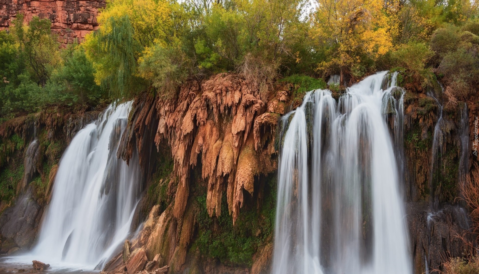 Stany Zjednoczone, Arizona, Wodospad, Fifty Foot Falls, Roślinność