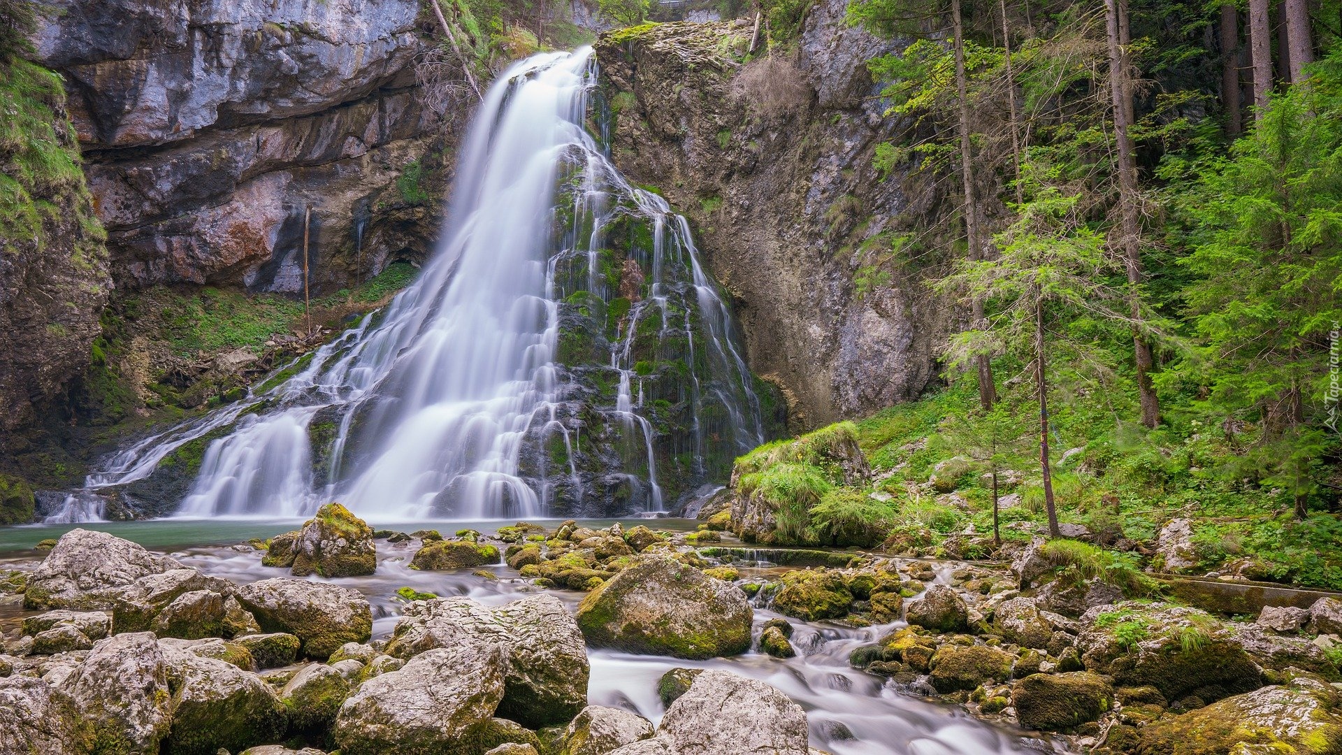 Las, Wodospad Gollinger, Rzeka, Kamienie, Omszałe, Drzewa, Powiat Hallein, Austria