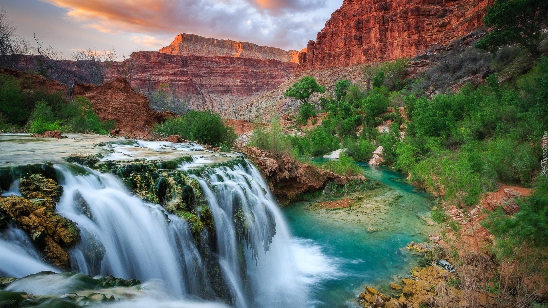 Wodospad, Havasu Falls, Rzeka Havasu Creek, Park Narodowy Wielkiego Kanionu, Kanion, Drzewa, Skały, Arizona, Stany Zjednoczone
