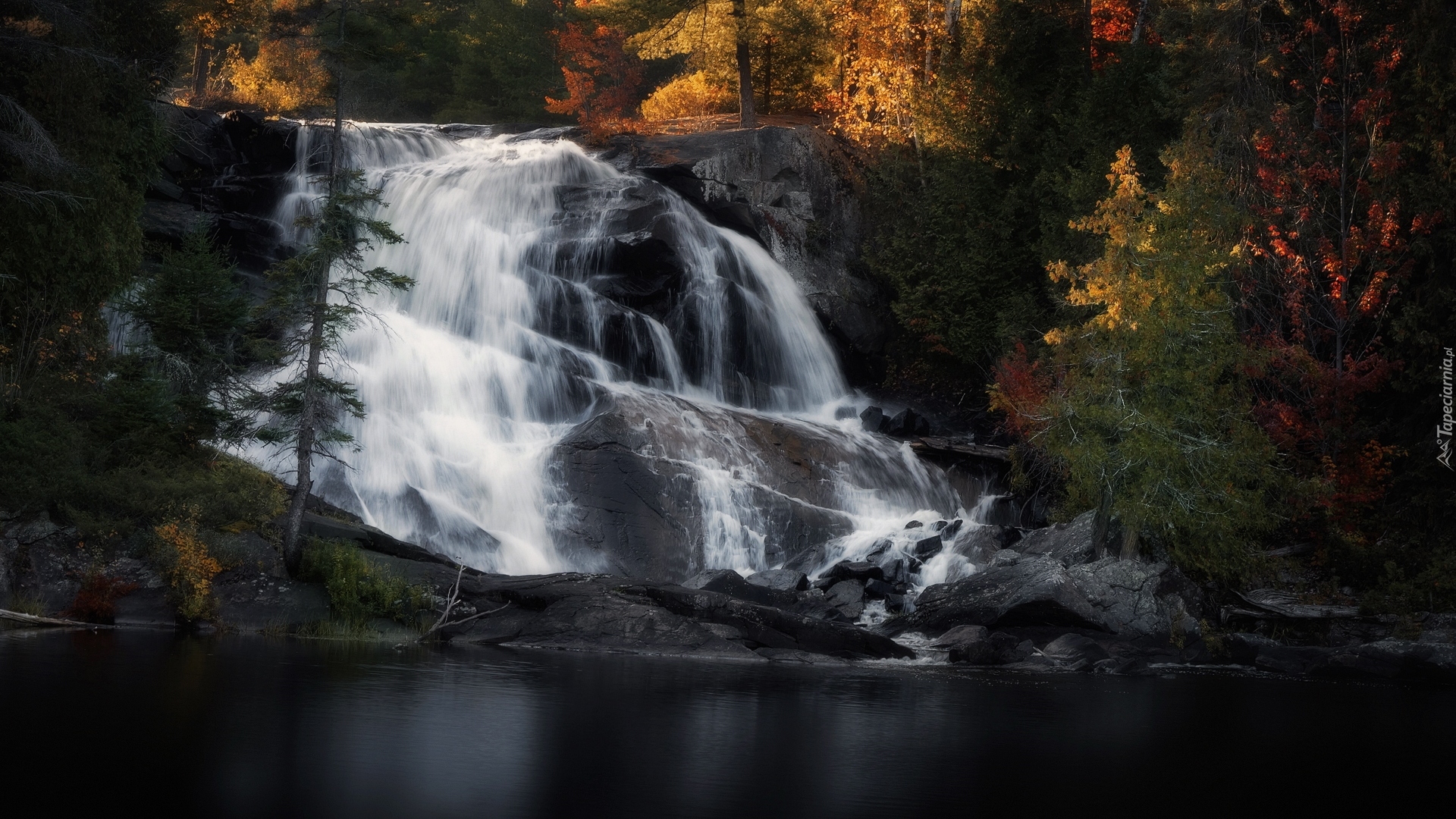 Wodospad High Falls, Drzewa, Jesień, Szlak Barron Canyon, Prowincja Ontario, Kanada
