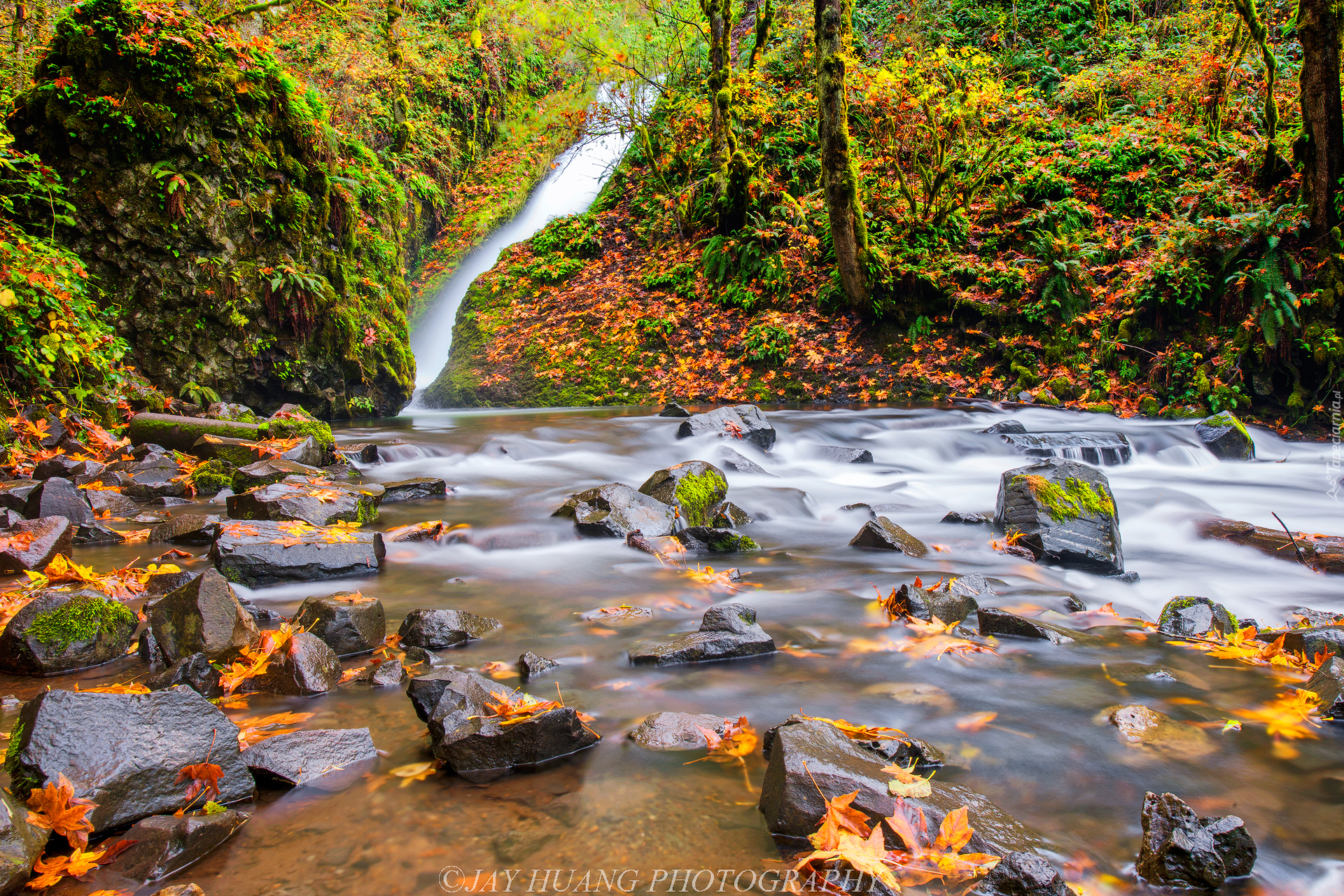Wodospad Bridal Veil Falls, Rzeka Bridal Veil Creek, Las, Drzewa, Kamienie, Jesień, Rezerwat przyrody Columbia River Gorge, Oregon, Stany Zjednoczone