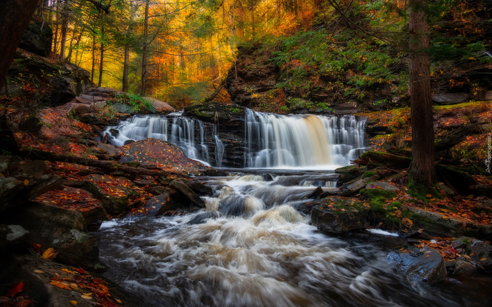 Stany Zjednoczone, Pensylwania, Ricketts Glen State Park, Jesień, Las, Wodospad, Cayuga Falls, Rzeka, Drzewa