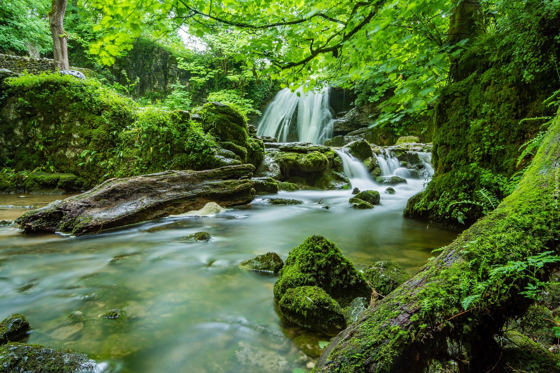 Anglia, Hrabstwo North Yorkshire, Wodospad Janets Foss, Las, Mech