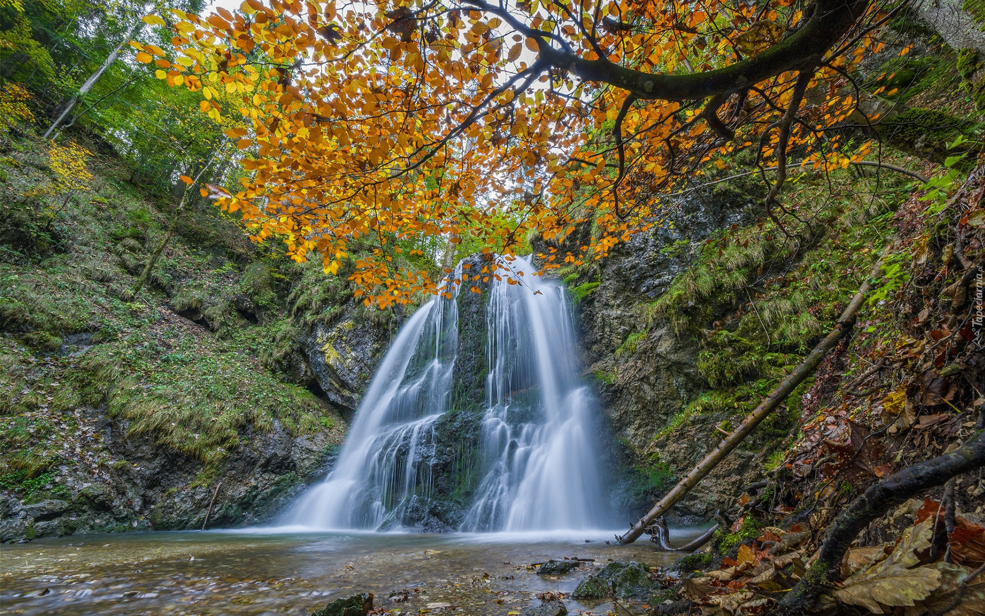 Wodospad, Josefsthaler Waterfalls, Las, Skały, Drzewa, Liście, Jesień, Bawaria, Niemcy