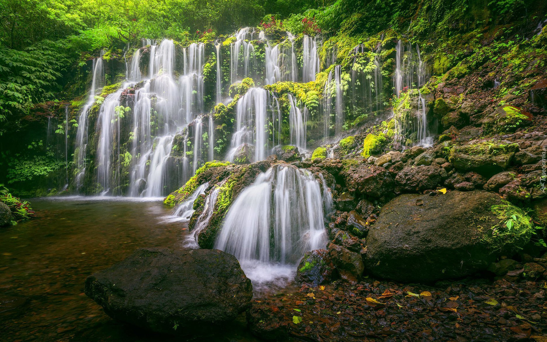 Las, Rzeka, Omszone, Kamienie, Wodospad, Banyu Wana Amertha Wasserfall, Kaskada, Roślinność, Prowincja Wanagiri, Bali, Indonezja