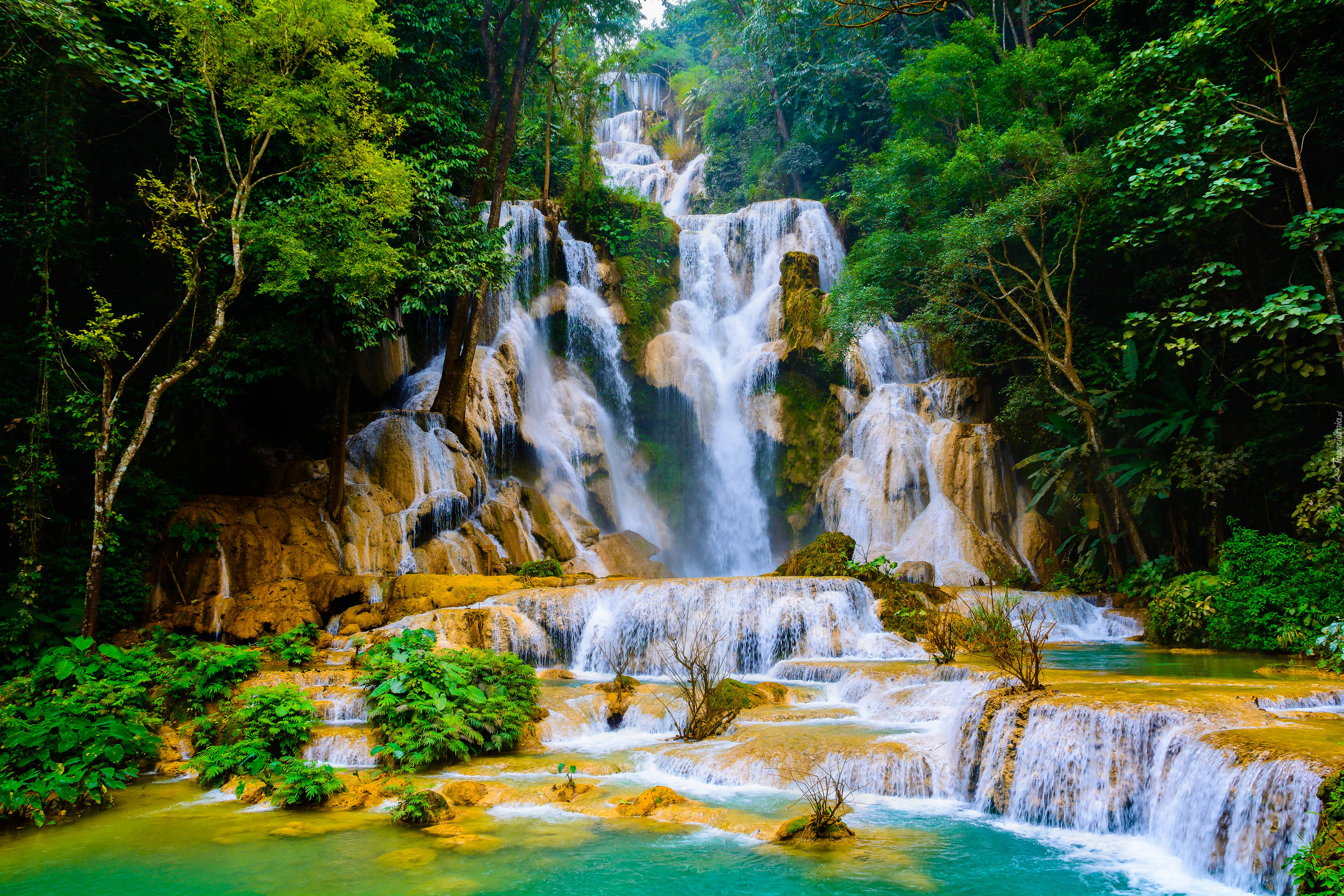Wodospad, Kuang Si Falls, Drzewa, Skały, Kaskady, Drzewa, Prowincja Louangphrabang, Laos