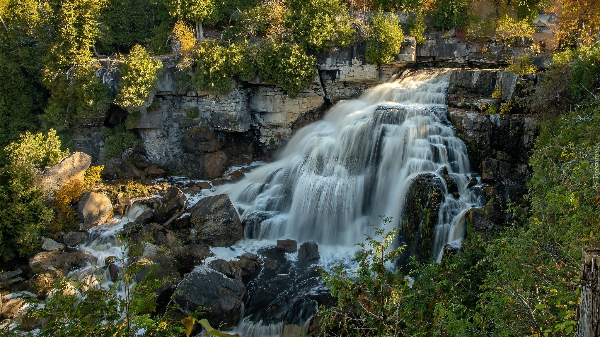 Skały, Wodospad, Rzeka, Sydenham River, Krzewy, Ontario, Kanada