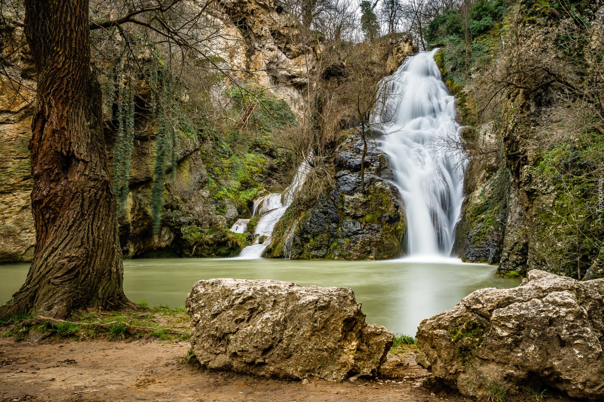 Bułgaria, Hotnitsa, Gmina Veliko Turnovo, Rezerwat przyrody, Waterval van Hotnitsa, Wodospad Kaya Bunar, Drzewa, Kamienie