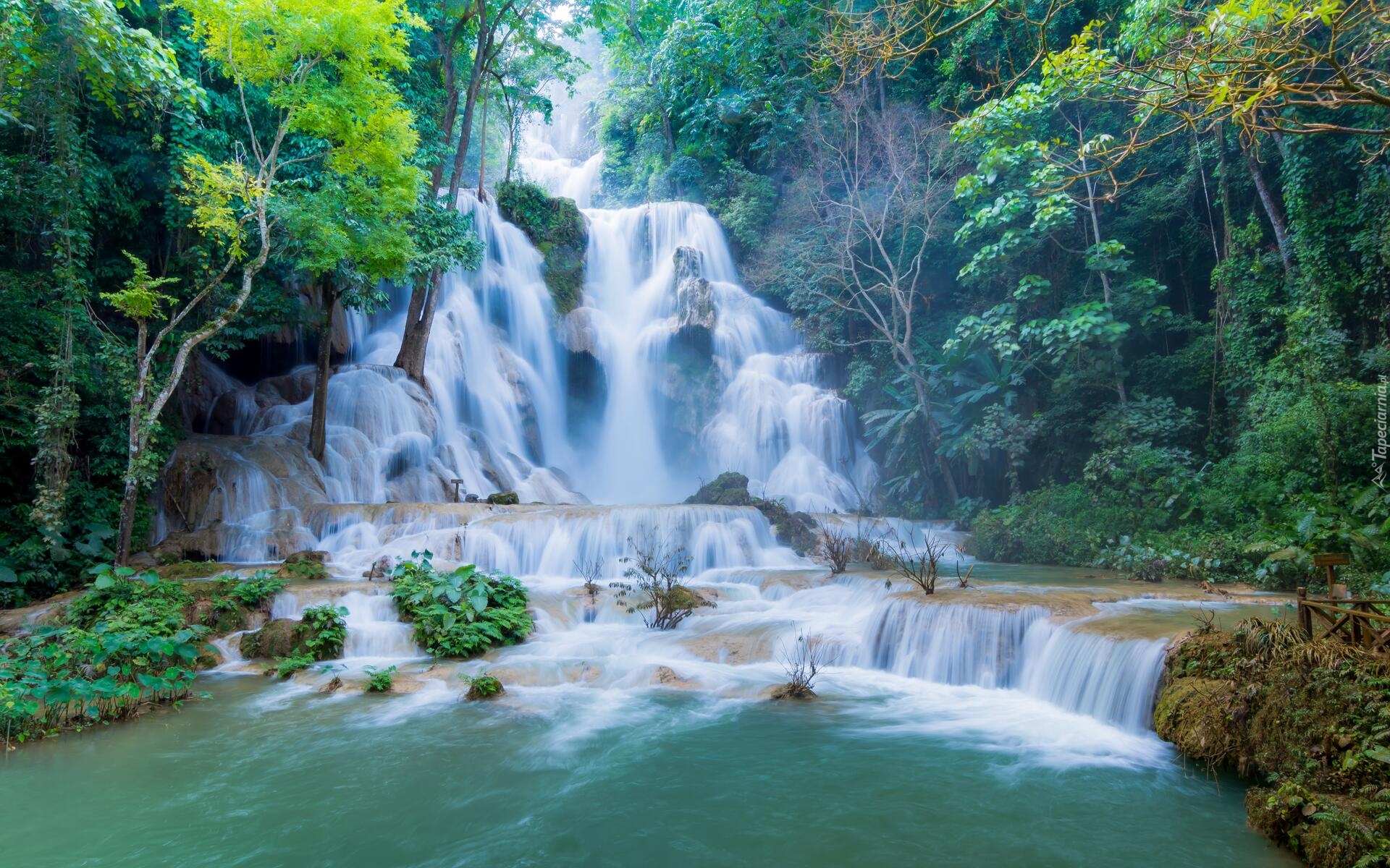 Wodospad, Kuang Si Falls, Drzewa, Skały, Drzewa, Prowincja Louangphrabang, Laos