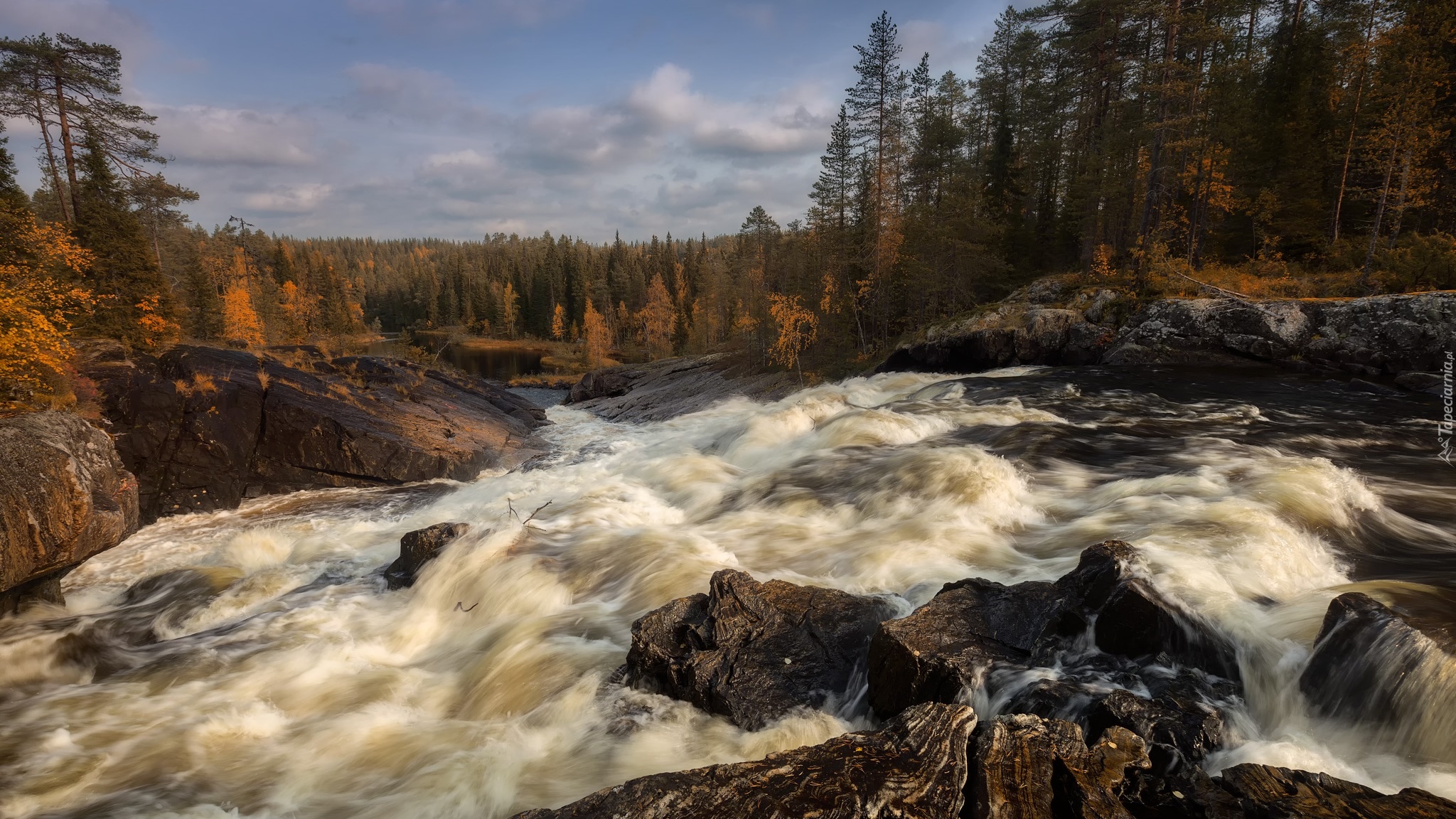 Jesień, Drzewa, Rwąca, Rzeka Voynitsa, Wodospad Kumi-Porog, Skały, Karelia, Rosja