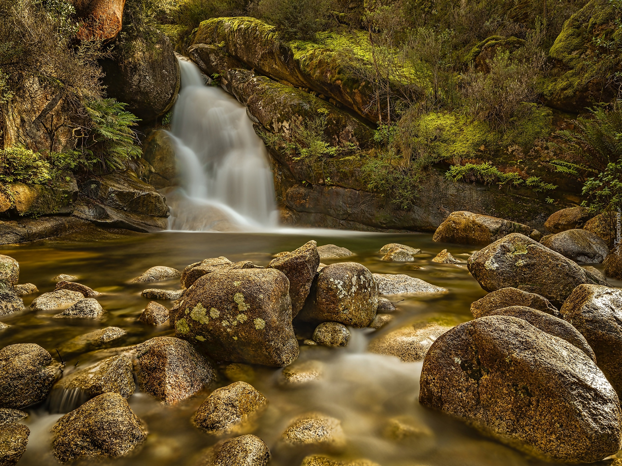 Australia, Park Narodowy Mount Buffalo, Wodospad Ladies Bath Falls, Jeziorko, Kamienie