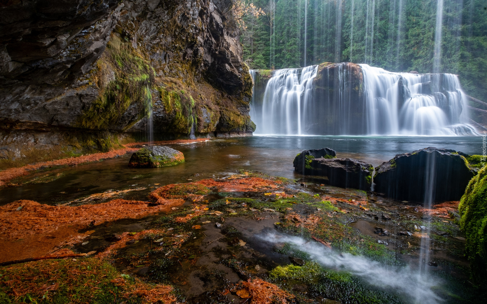 Las, Drzewa, Wodospad Lower Lewis River Falls, Omszałe, Skały, Rzeka, Lewis River, Stan Waszyngton, Stany Zjednoczone