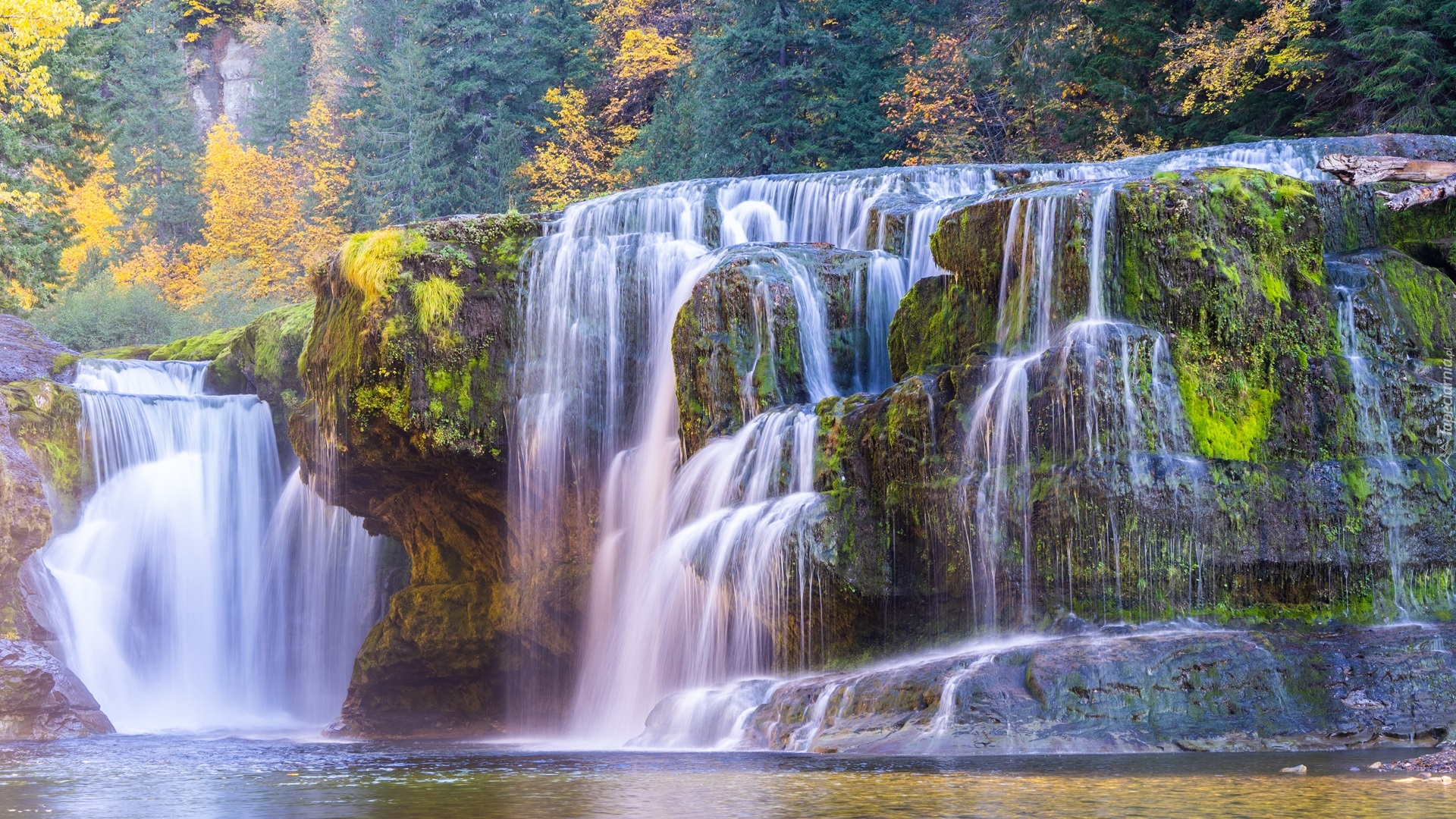 Wodospad, Lower Lewis River Falls, Skała, Rzeka, Drzewa, Jesień, Stan Waszyngton, Stany Zjednoczone