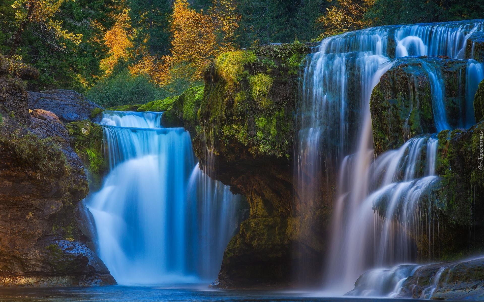 Wodospad, Lower Lewis River Falls, Drzewa, Cougar, Stan Waszyngton, Stany Zjednoczone