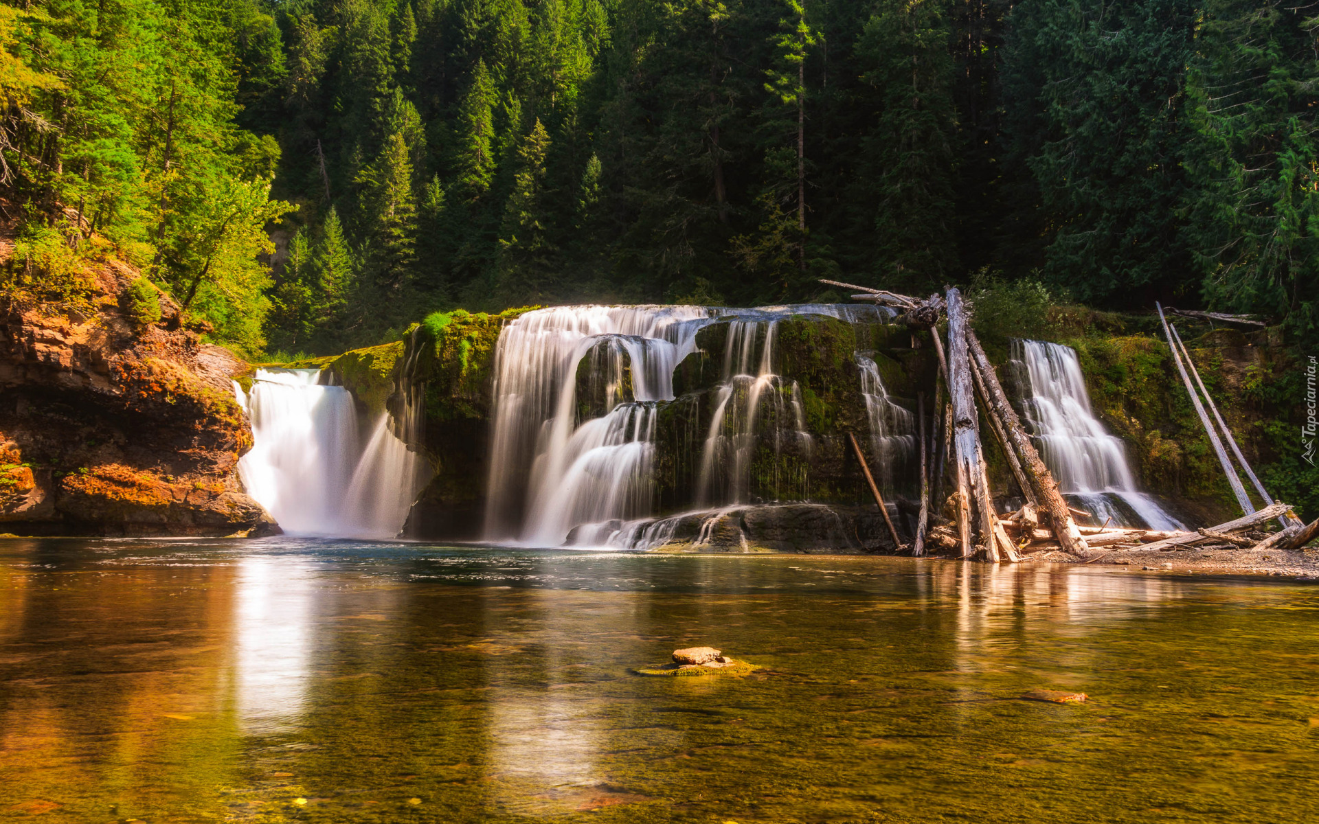 Las, Drzewa, Wodospad Lower Lewis River Falls, Omszałe, Skały, Rzeka, Osada Cougar, Stan Waszyngton, Stany Zjednoczone