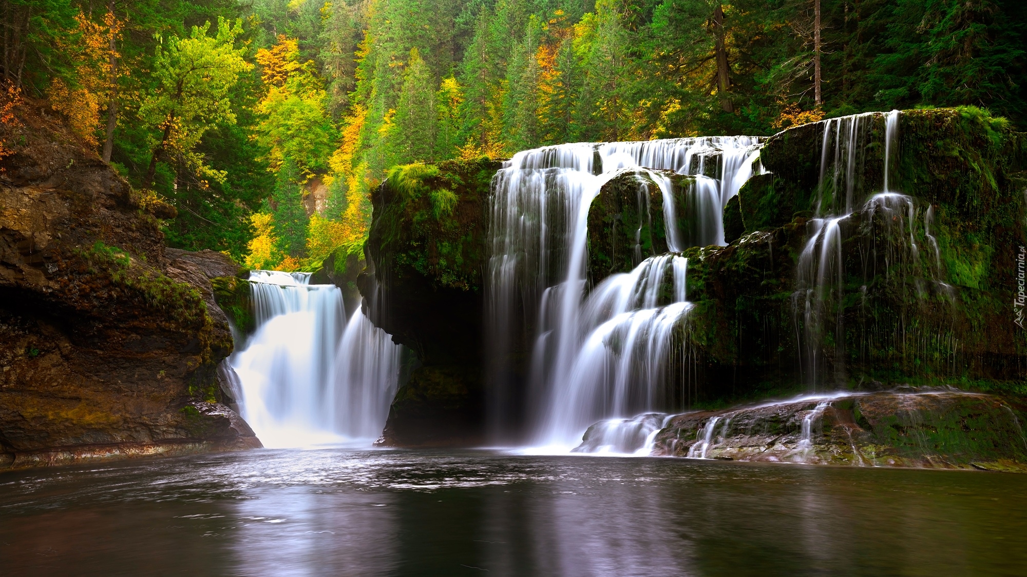 Wodospad, Lower Lewis River Falls, Las, Cougar, Stan Waszyngton, Stany Zjednoczone