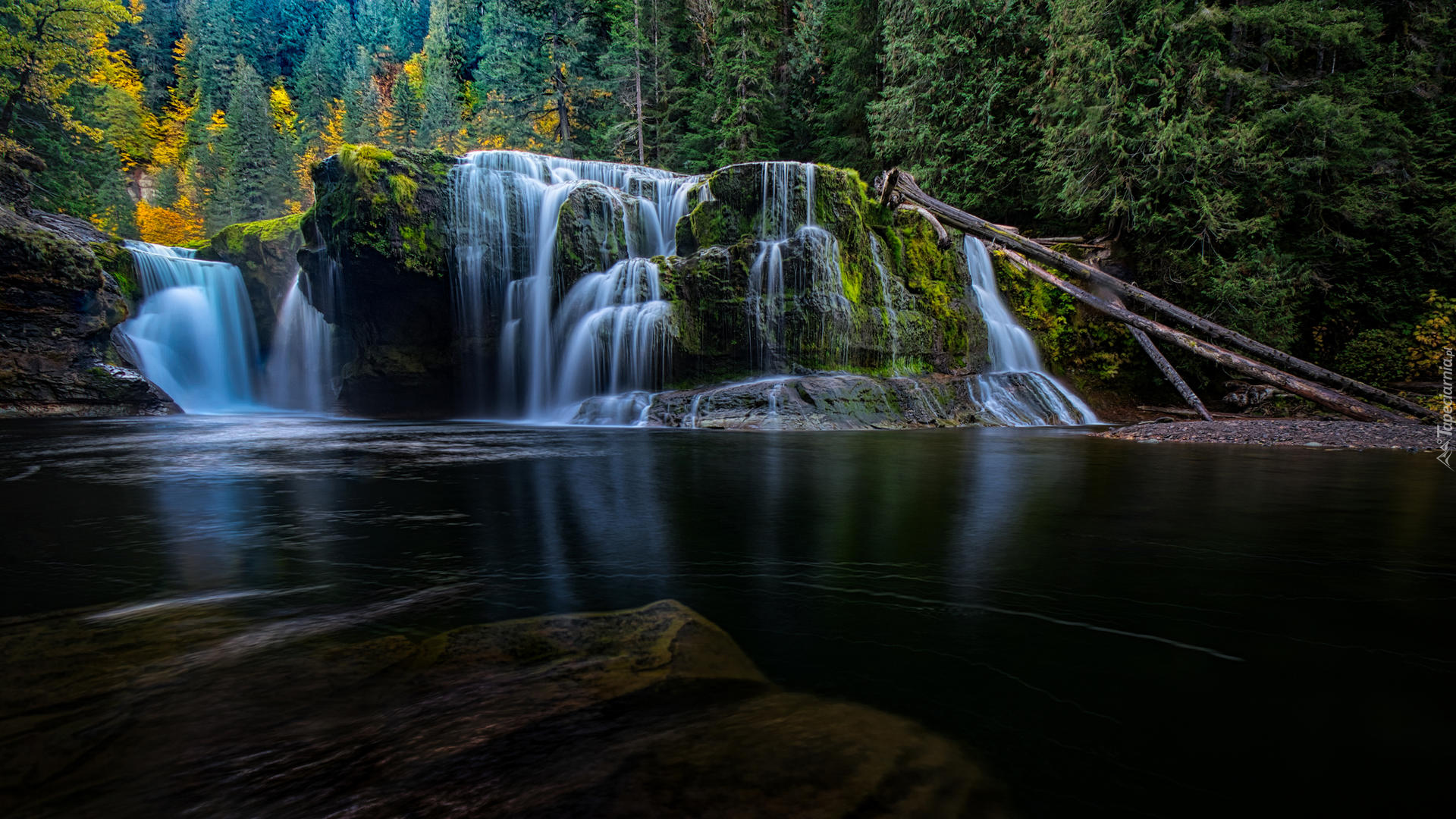 Omszałe, Skały, Las, Wodospad Lower Lewis River Falls, Stan Waszyngton, Stany Zjednoczone