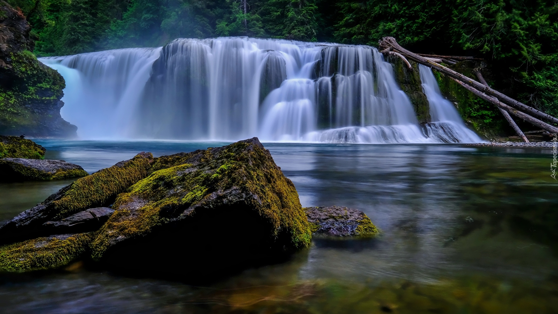 Wodospad Lower Lewis River Falls, Osada Cougar, Stan Waszyngton, Stany Zjednoczone, Omszałe, Kamienie, Las