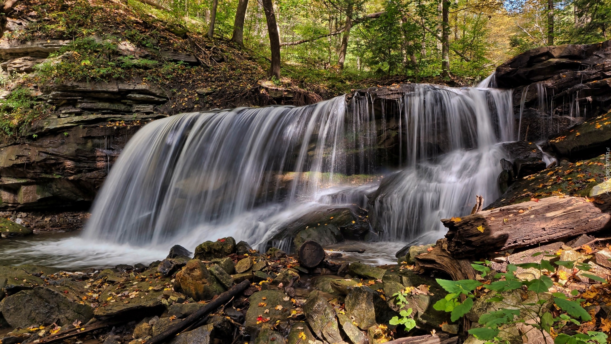 Kanada, Prowincja Ontario, Gmina Hamilton, Strumień Logies Creek, Wodospad Lower Tews Falls