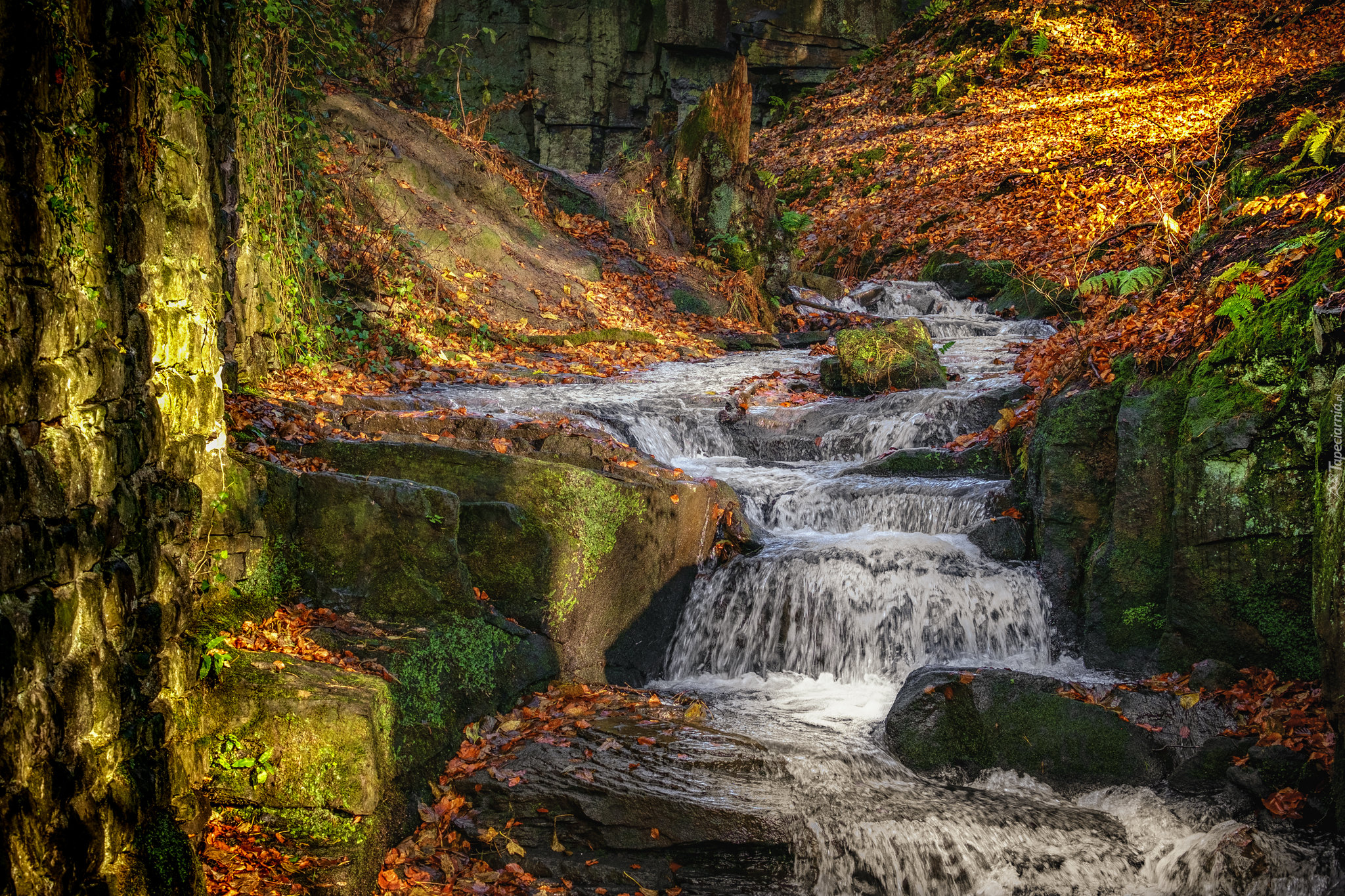 Wodospad, Lumsdale Waterfall, Potok, Skały, Las, Drzewa, Kolorowe, Liście, Jesień, Matlock, Anglia