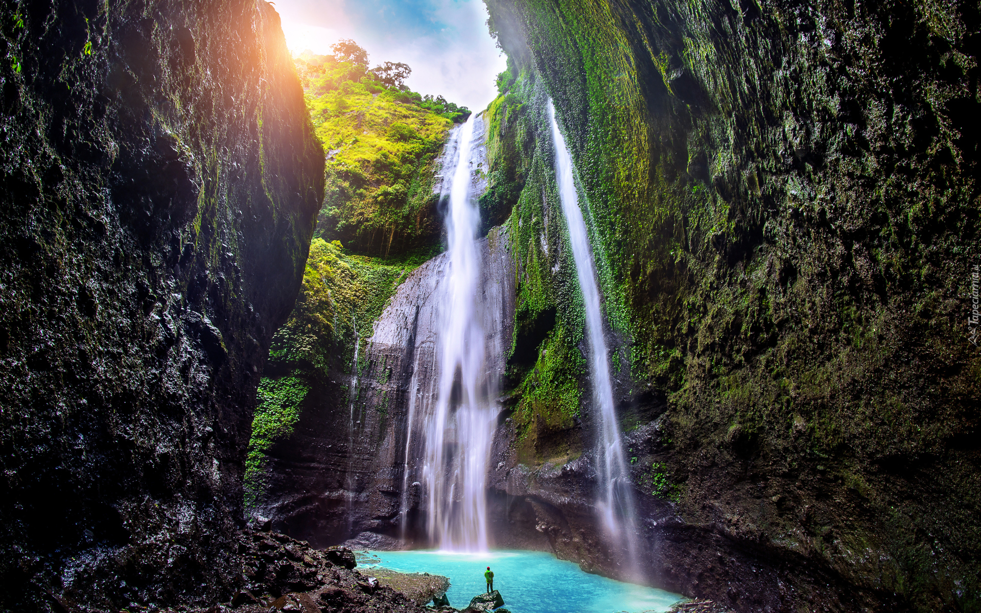 Wodospad, Madakaripura Waterfall, Omszałe, Skały, Drzewa, Wyspa Jawa, Indonezja