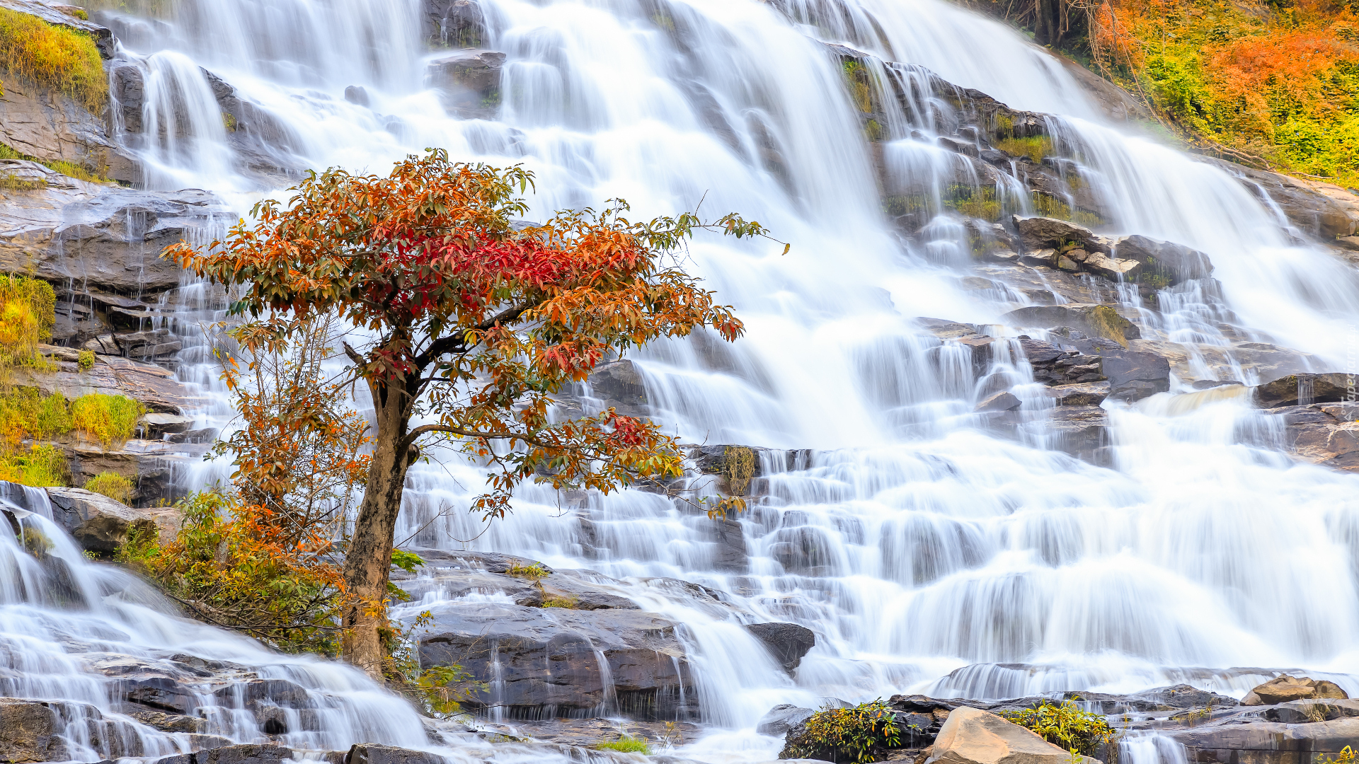 Jesień, Drzewo, Skały, Wodospad, Mae Ya Waterfall, Park Narodowy Doi Inthanon, Chiang Mai, Tajlandia