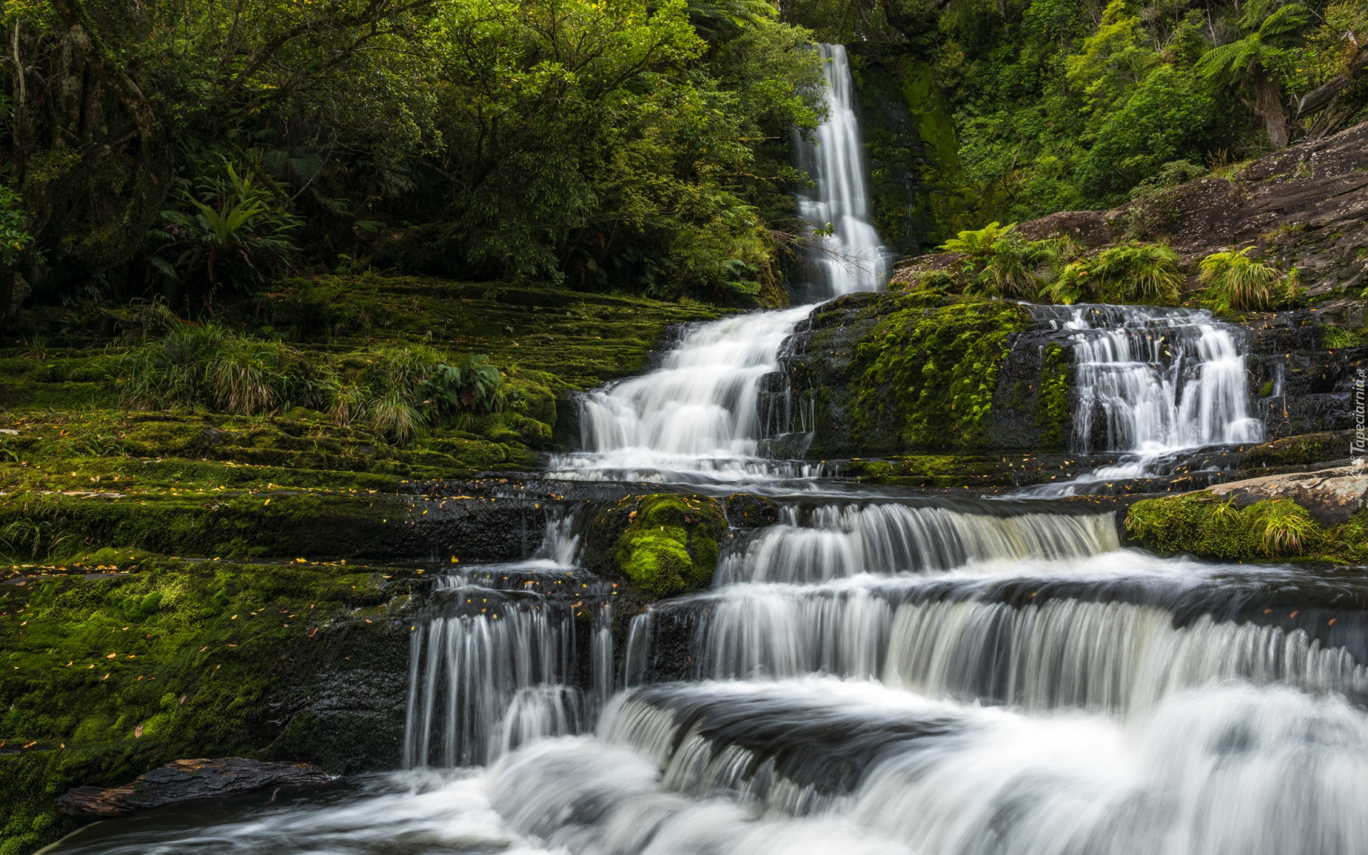 Wodospad, McLean Falls, Rzeka, Tautuku River, Skały, Drzewa, Nowa Zelandia