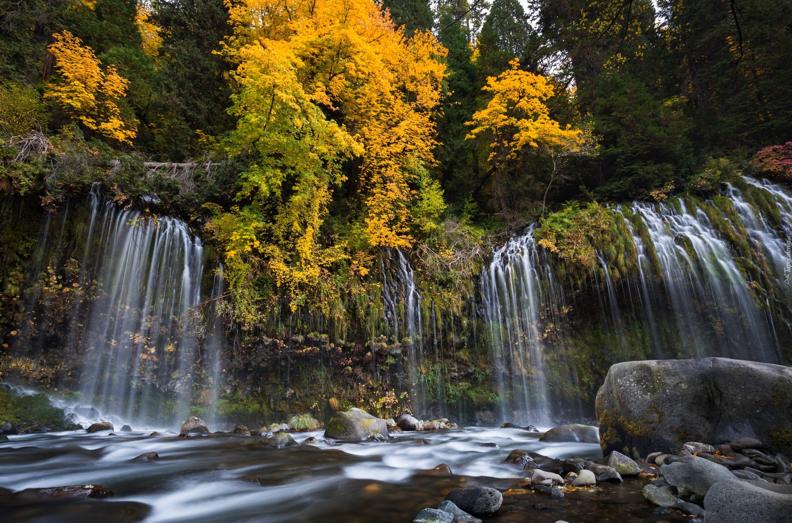 Wodospad Mossbrae Falls, Drzewa, Rzeka, Kamienie, Jesień, Hrabstwo Siskiyou, Stan Kalifornia, Stany Zjednoczone