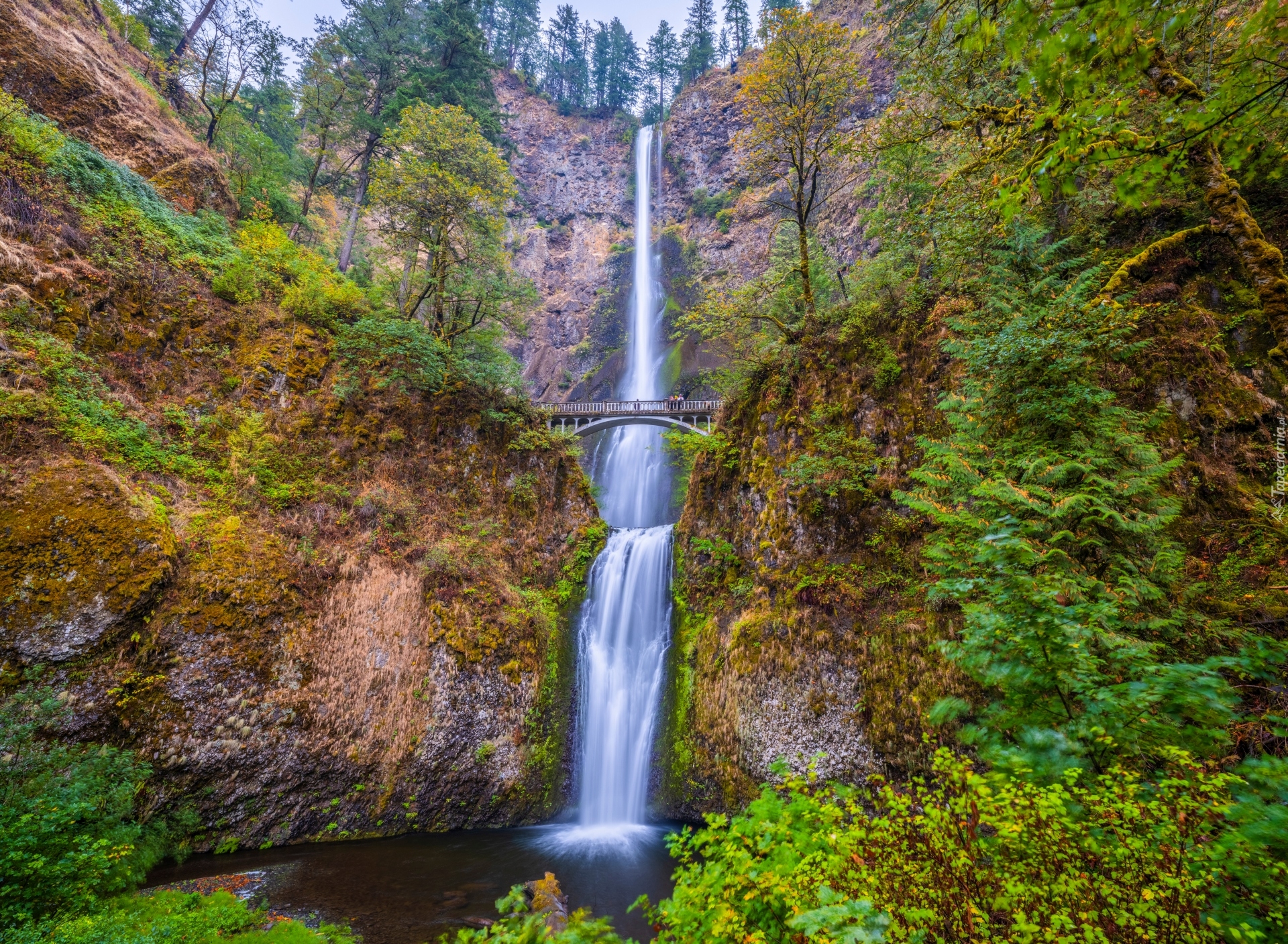 Wodospad, Multnomah Falls, Jesień, Most, Skały, Drzewa, Roślinność, Oregon, Stany Zjednoczone