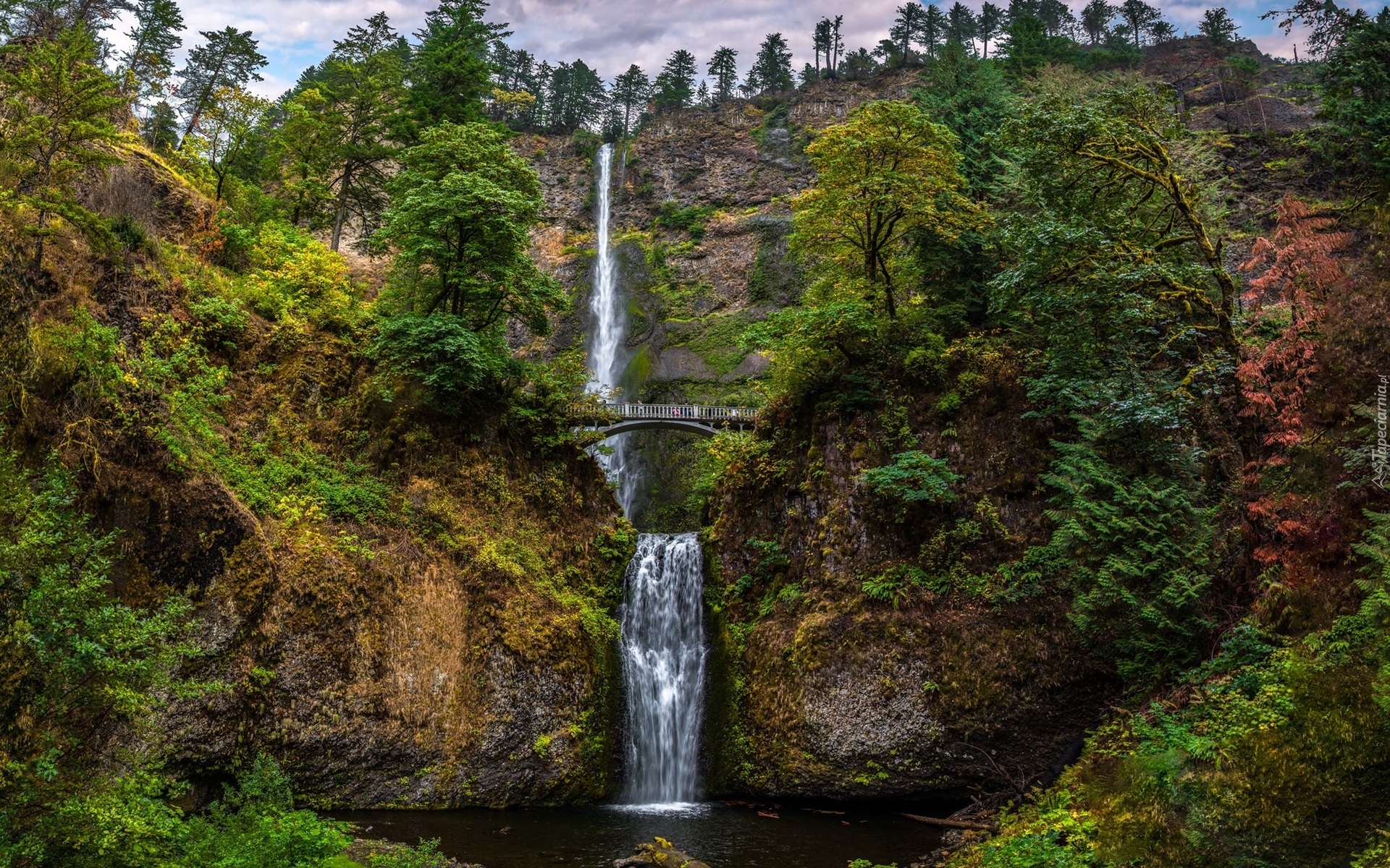 Wodospad, Multnomah Falls, Most, Skały, Rośliny, Drzewa, Hrabstwo Multnomah, Oregon, Stany Zjednoczone