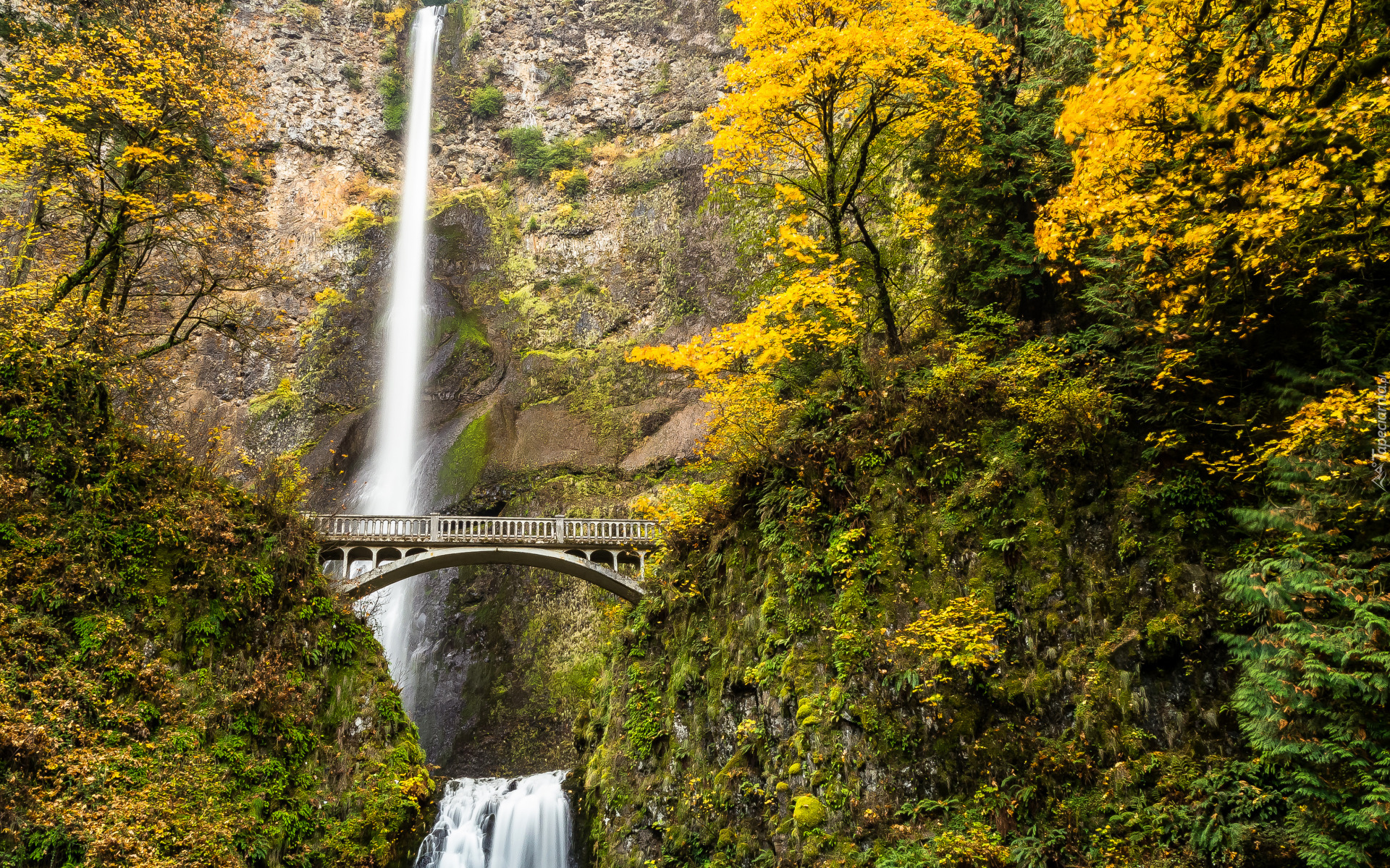 Wodospad, Multnomah Falls, Most, Drzewa, Las, Jesień, Stan Oregon, Stany Zjednoczone