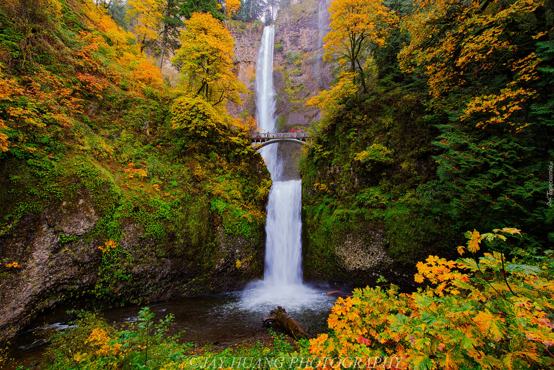 Wodospad Multnomah Falls, Jesień, Most, Skały, Drzewa, Roślinność, Hrabstwo Multnomah, Oregon, Stany Zjednoczone