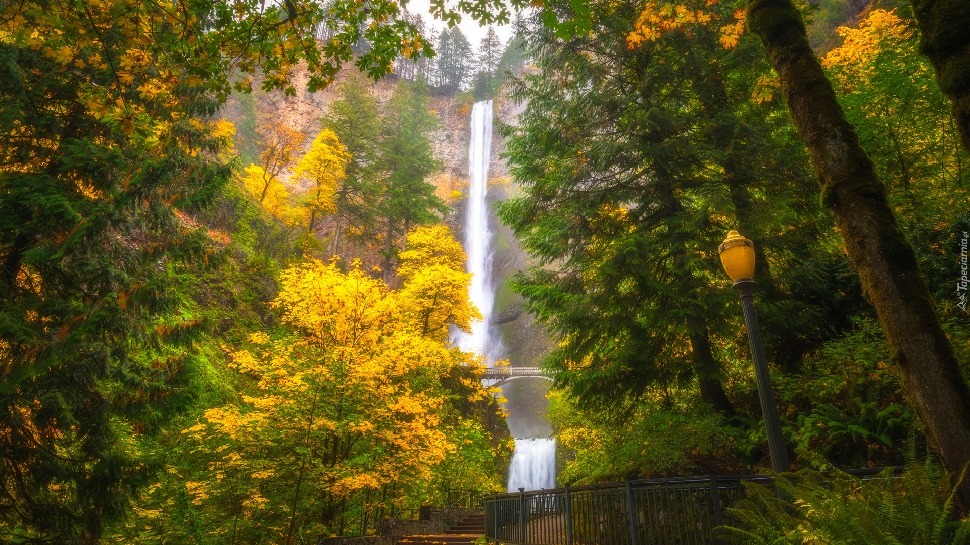 Wodospad, Multnomah Falls, Most, Drzewa, Latarnia, Jesień, Stan Oregon, Stany Zjednoczone