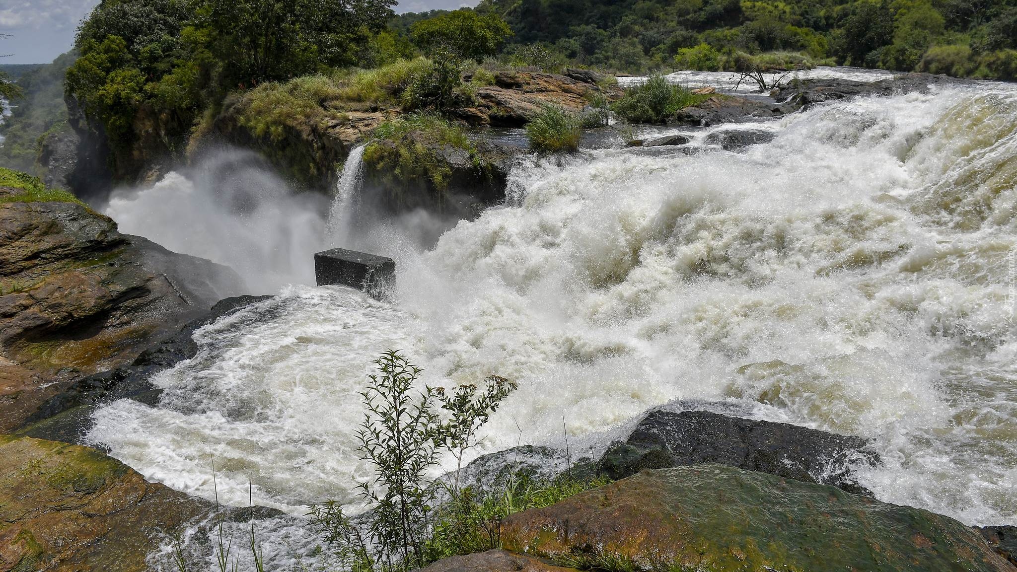 Wodospad, Murchison Falls, Rzeka, Nil Wiktorii, Kamienie, Park Narodowy Wodospadu Murchisona, Uganda, Afryka