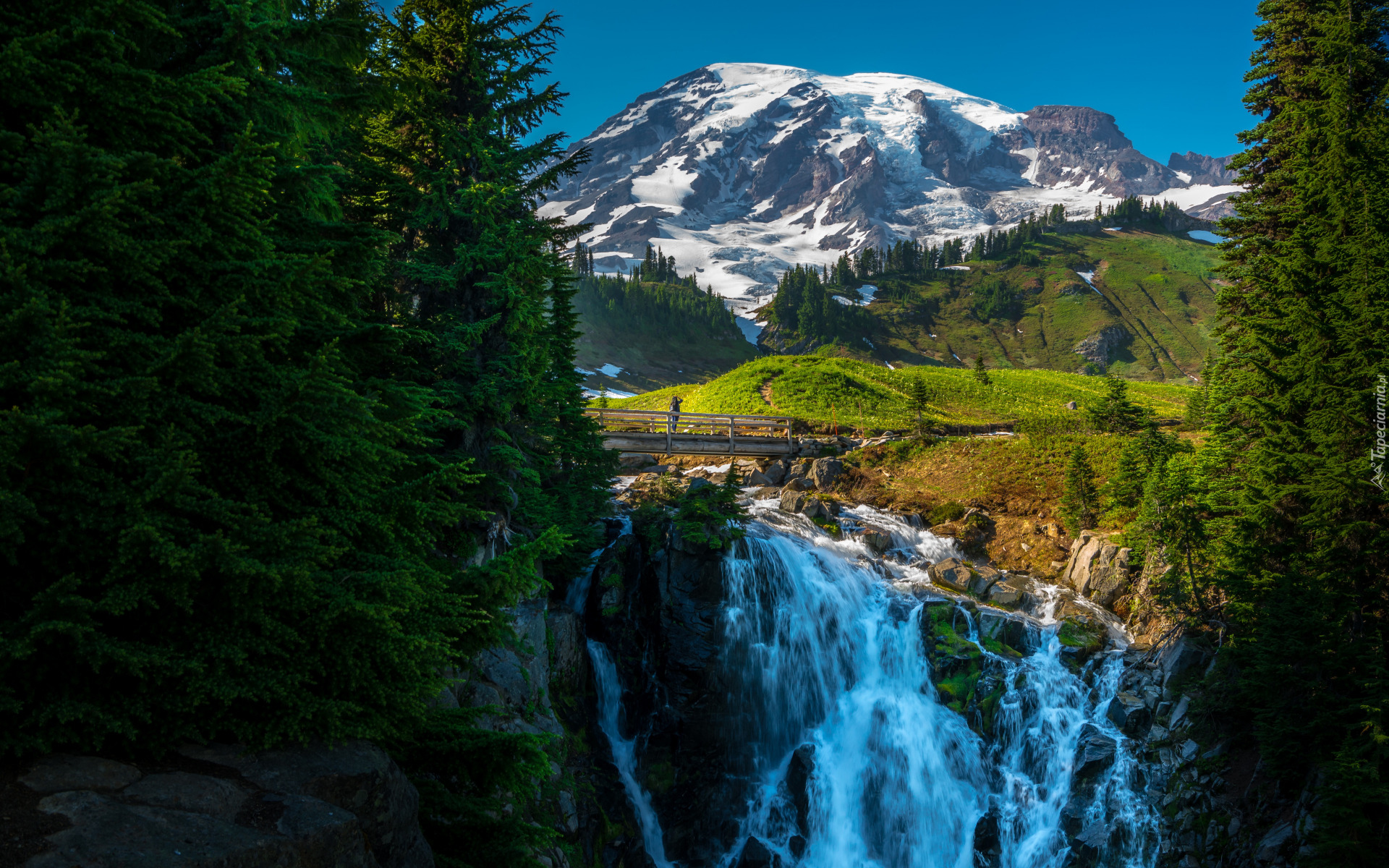 Las, Drzewa, Góry Kaskadowe, Góra Rainier, Most, Wodospad, Myrtle Falls, Kaskada, Park Narodowy Mount Rainier, Waszyngton, Stany Zjednoczone