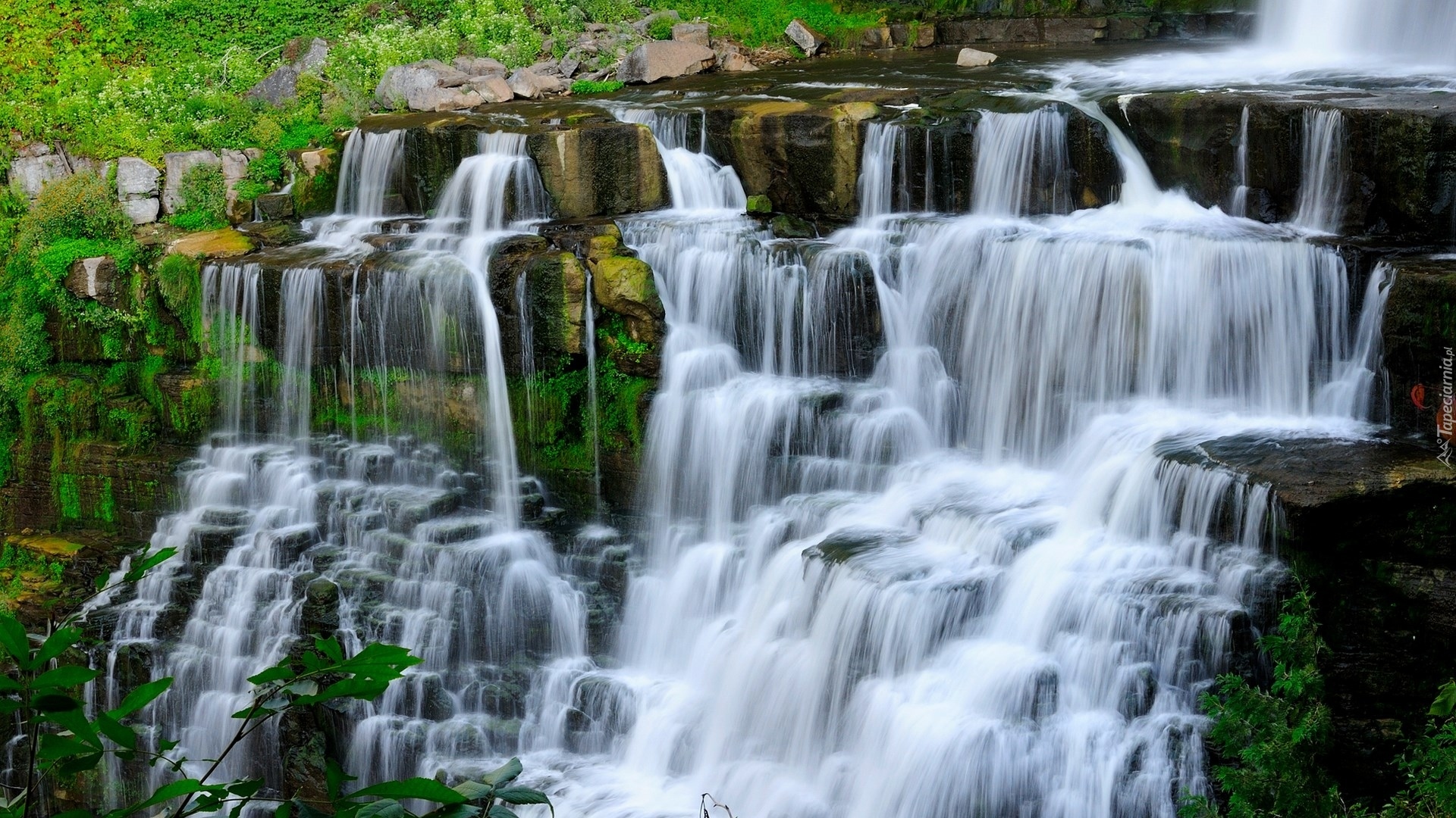 Wodospad, Skały, Kamienie, Rośliny, Chittenango Falls State Park, Nowy Jork
