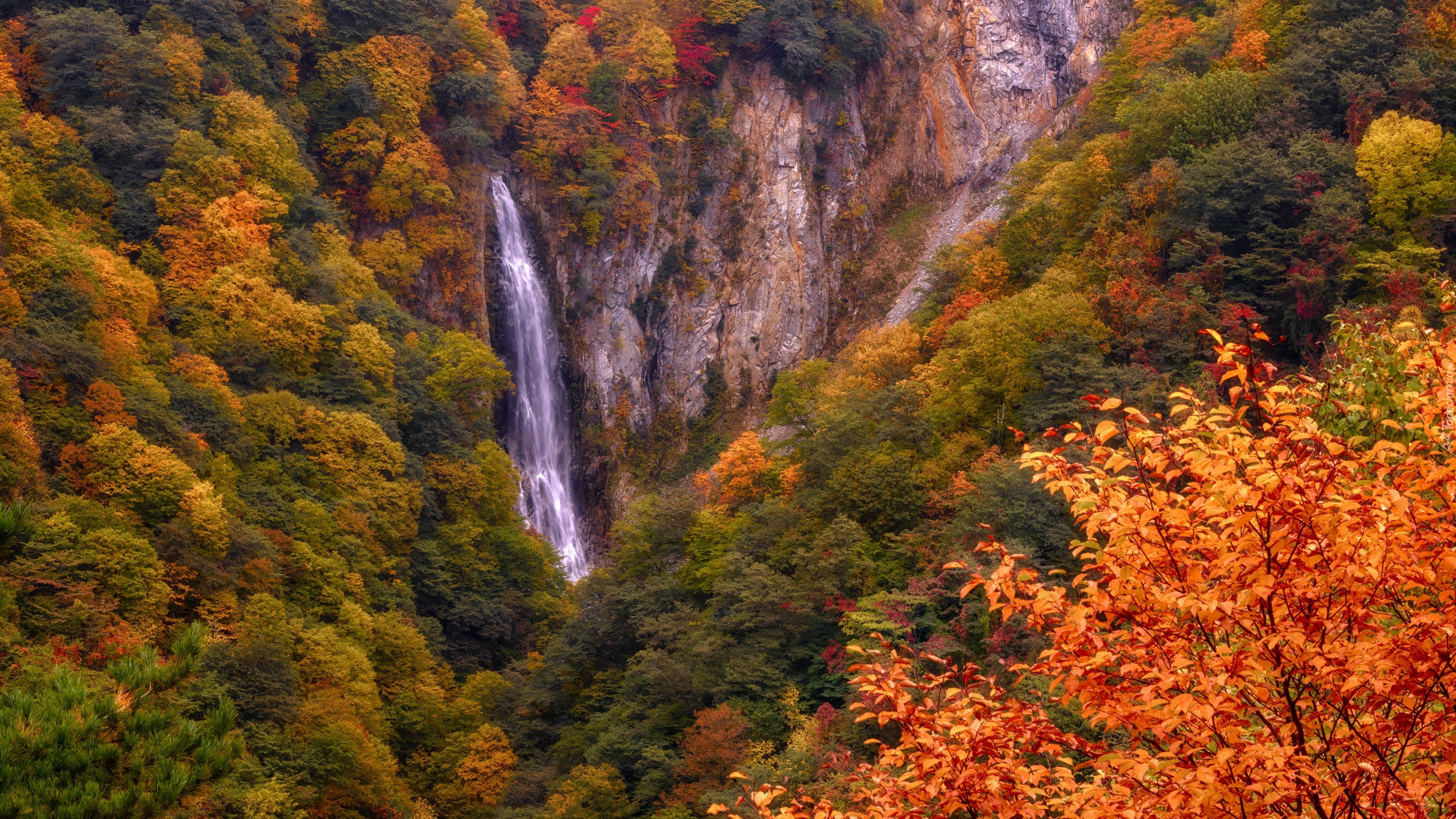 Jesień, Wodospad, Skały, Las, Kolorowe, Drzewa