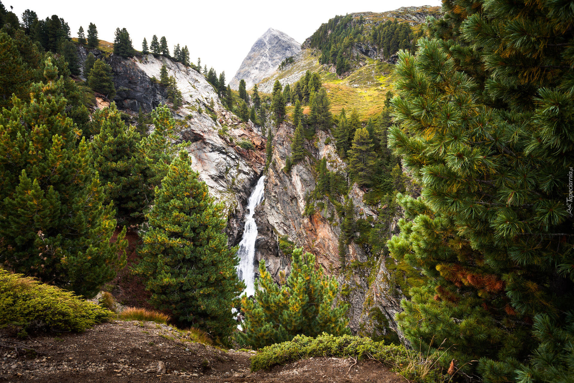 Góry, Skały, Drzewa, Wodospad, Dolina Otztal, Austria