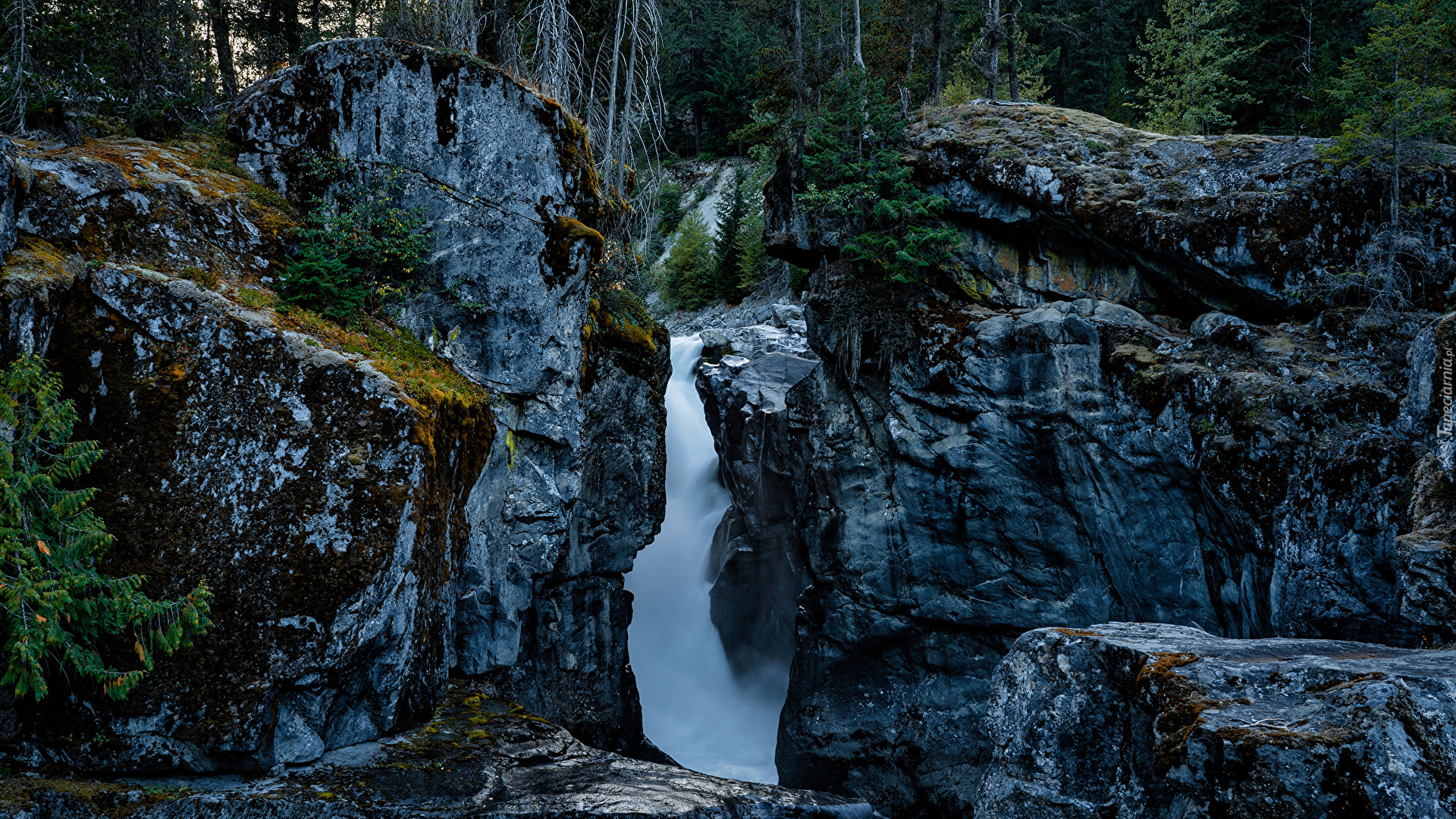 Wodospad, Nairn Falls, Skały, Drzewa, Park, Kanada