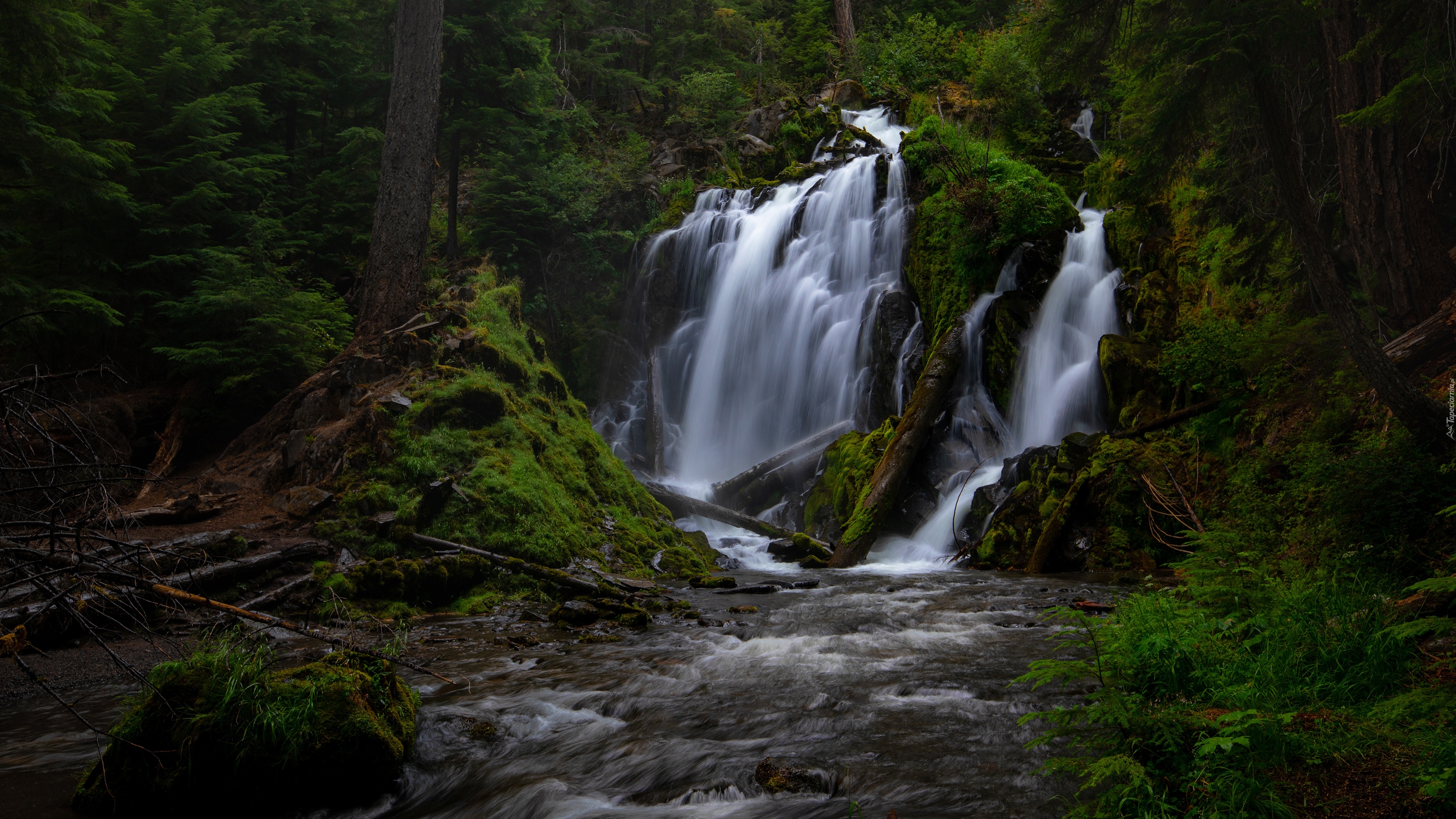 Park Narodowy Jeziora Kraterowego, Las, Drzewa, Skała, Wodospad, National Creek Falls, Rzeka, Kamienie, Oregon, Stany Zjednoczone