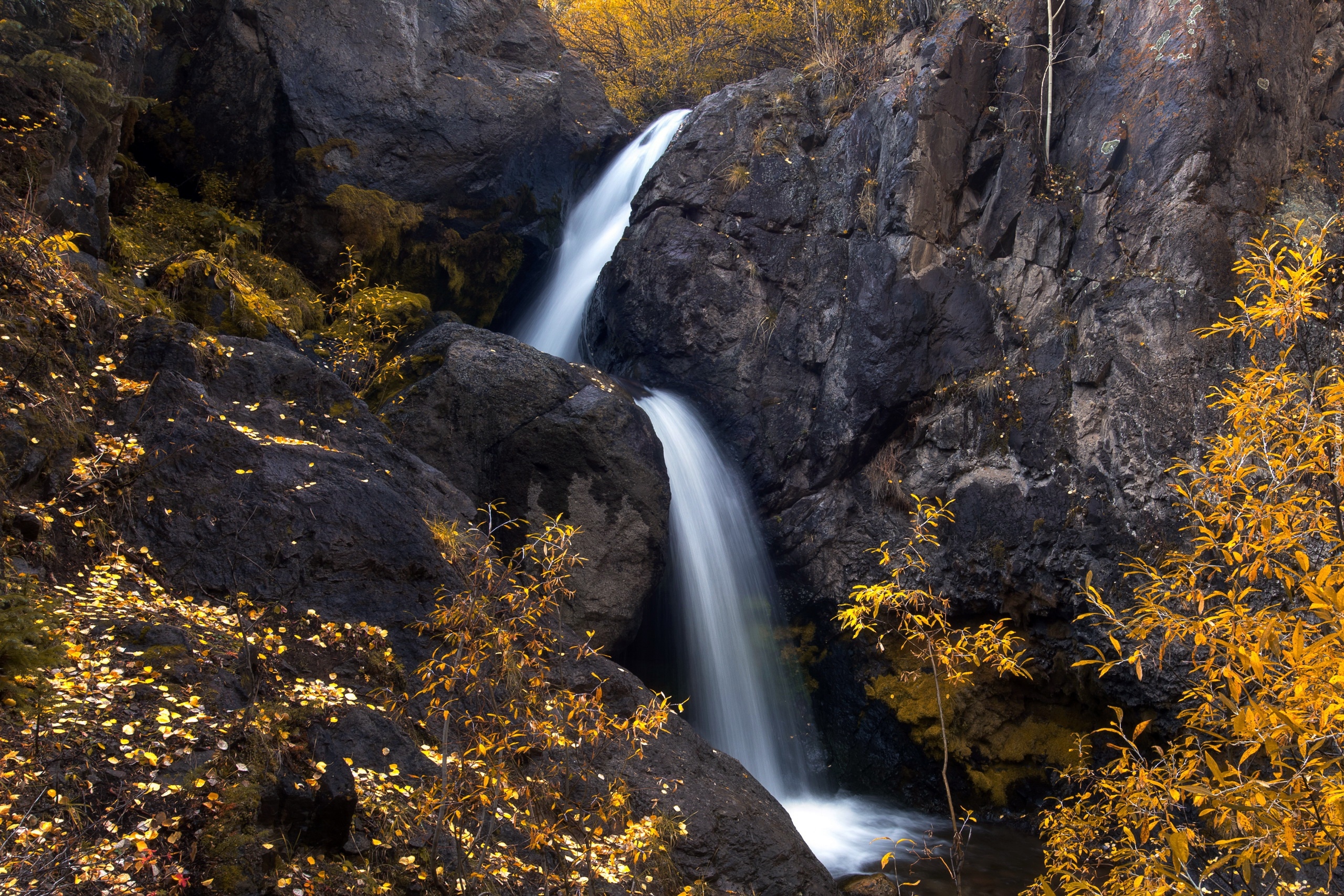 Skały, Wodospad Nellie Creek, Drzewa, Kolorado, Stany Zjednoczone
