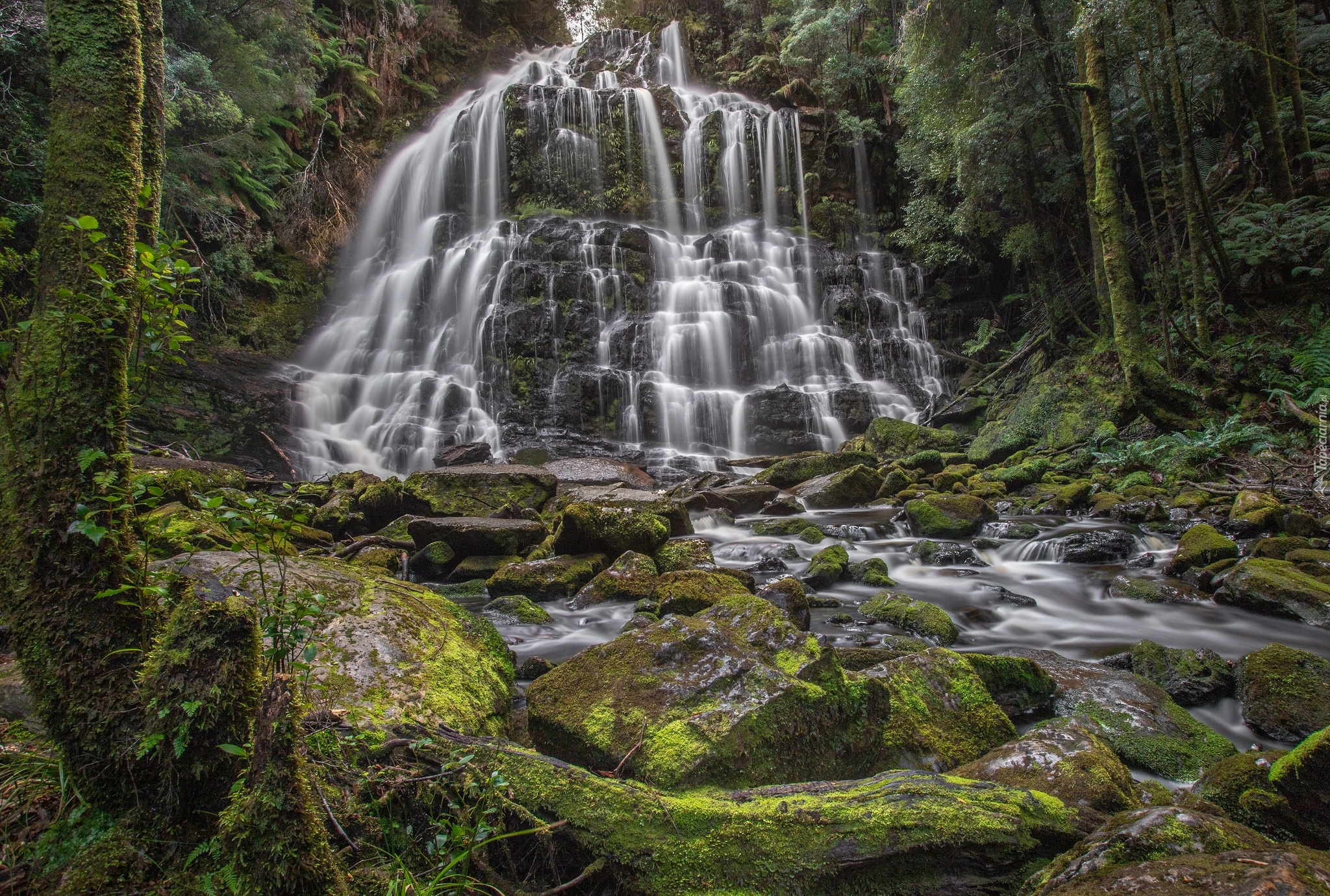 Park Narodowy Franklin-Gordon Wild Rivers, Las, Skała, Kamienie, Wodospad, Nelson Falls, Rzeka, Drzewa, Tasmania, Australia