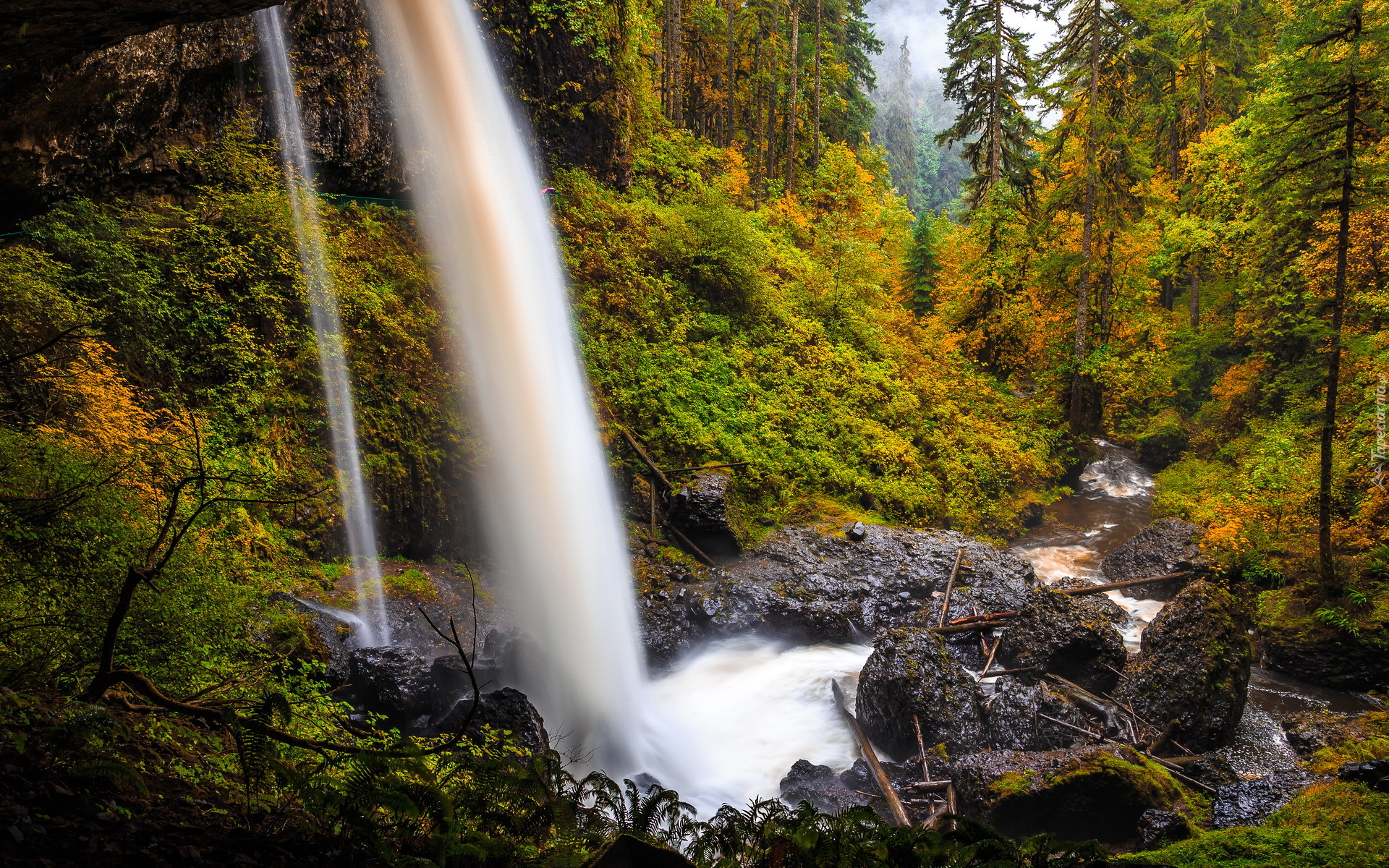 Wodospad North Falls, Las, Drzewa, Rzeka, Strumień, Roślinność, Skały, Stan Oregon, Stany Zjednoczone